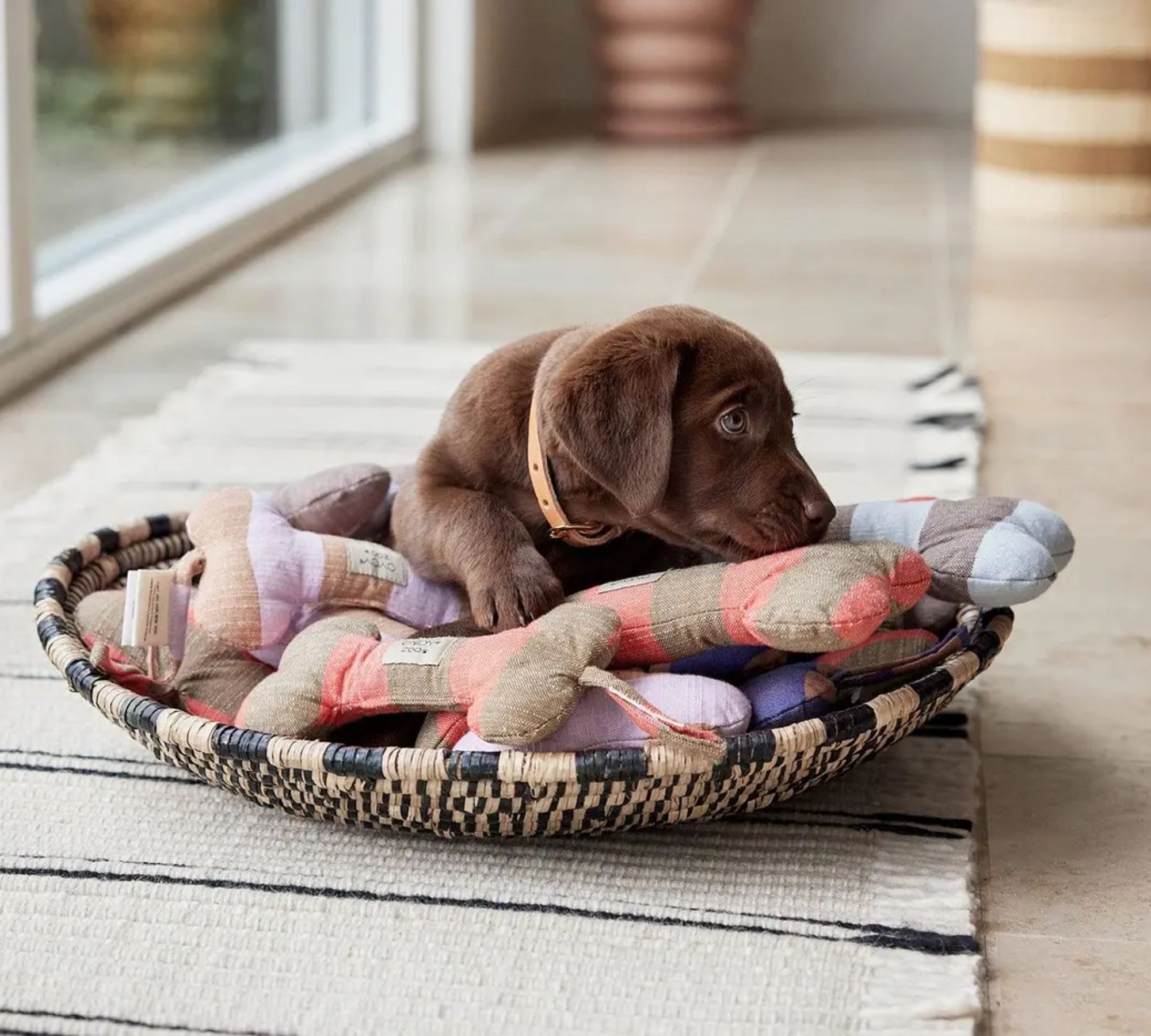 Ashi Hundespielzeug Groß Textil Blau