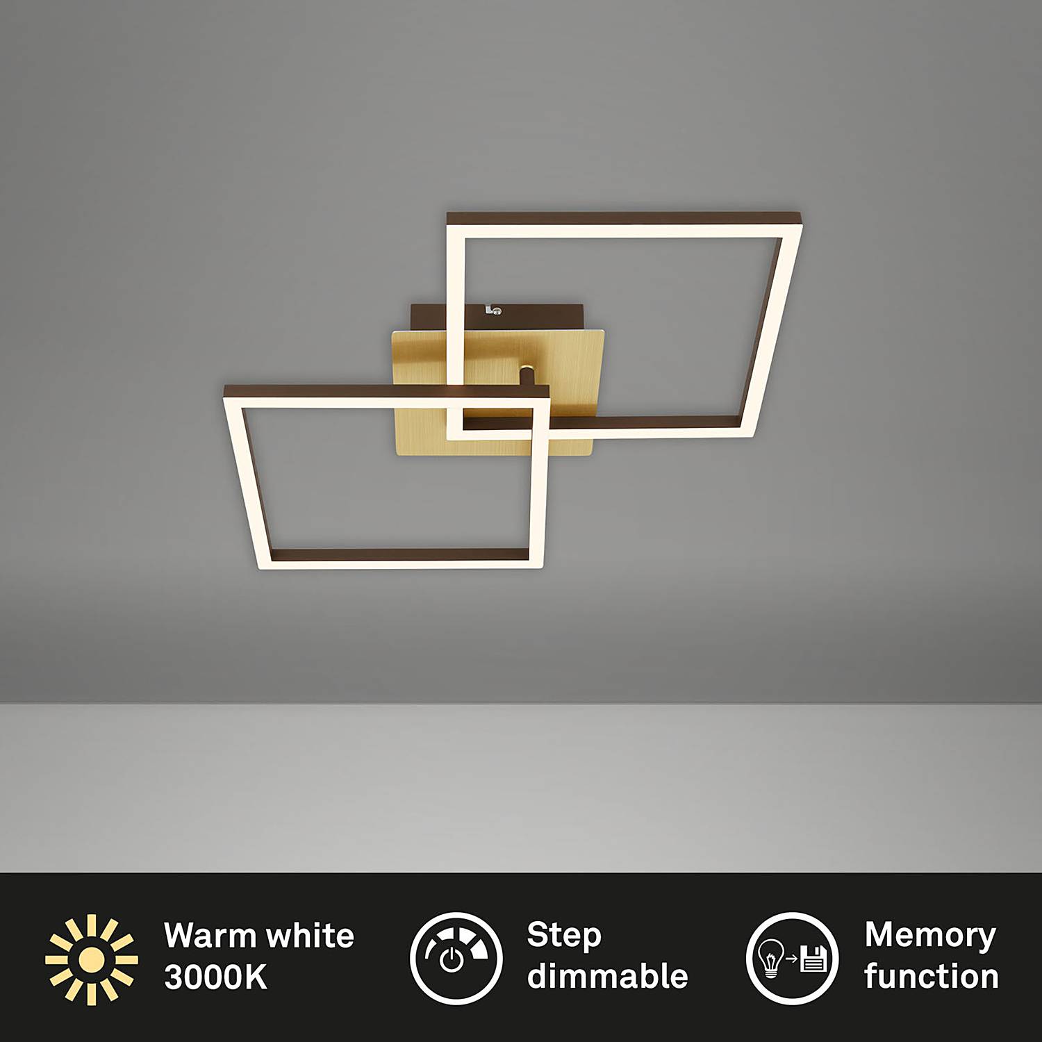 2-Flammig LED-Deckenleuchte Frame IV Nylon Eisen
