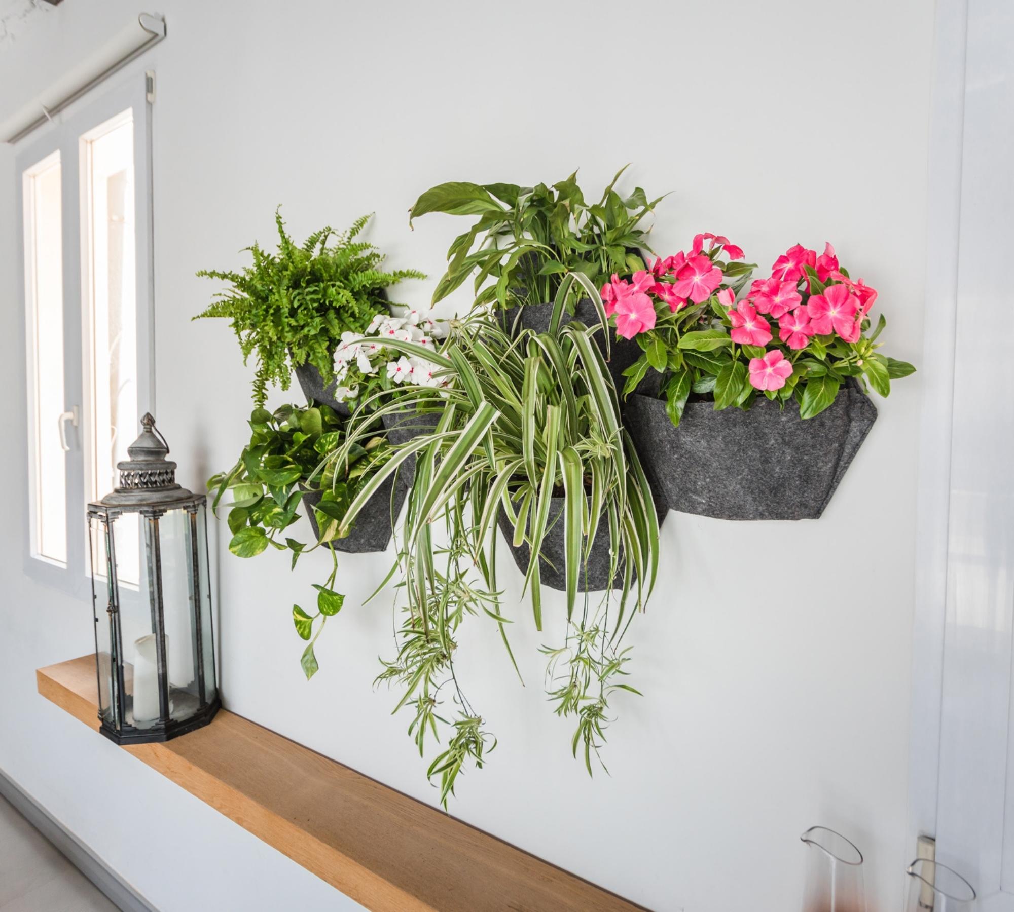 3x Wand-Blumentopf Schwarz mit Selbstbewässerung Textilbezug