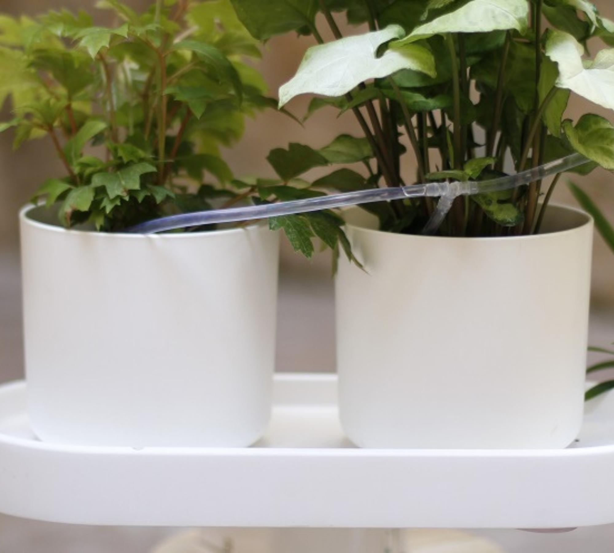 Automatische Tropfbewässerung für Pflanzen Weiß