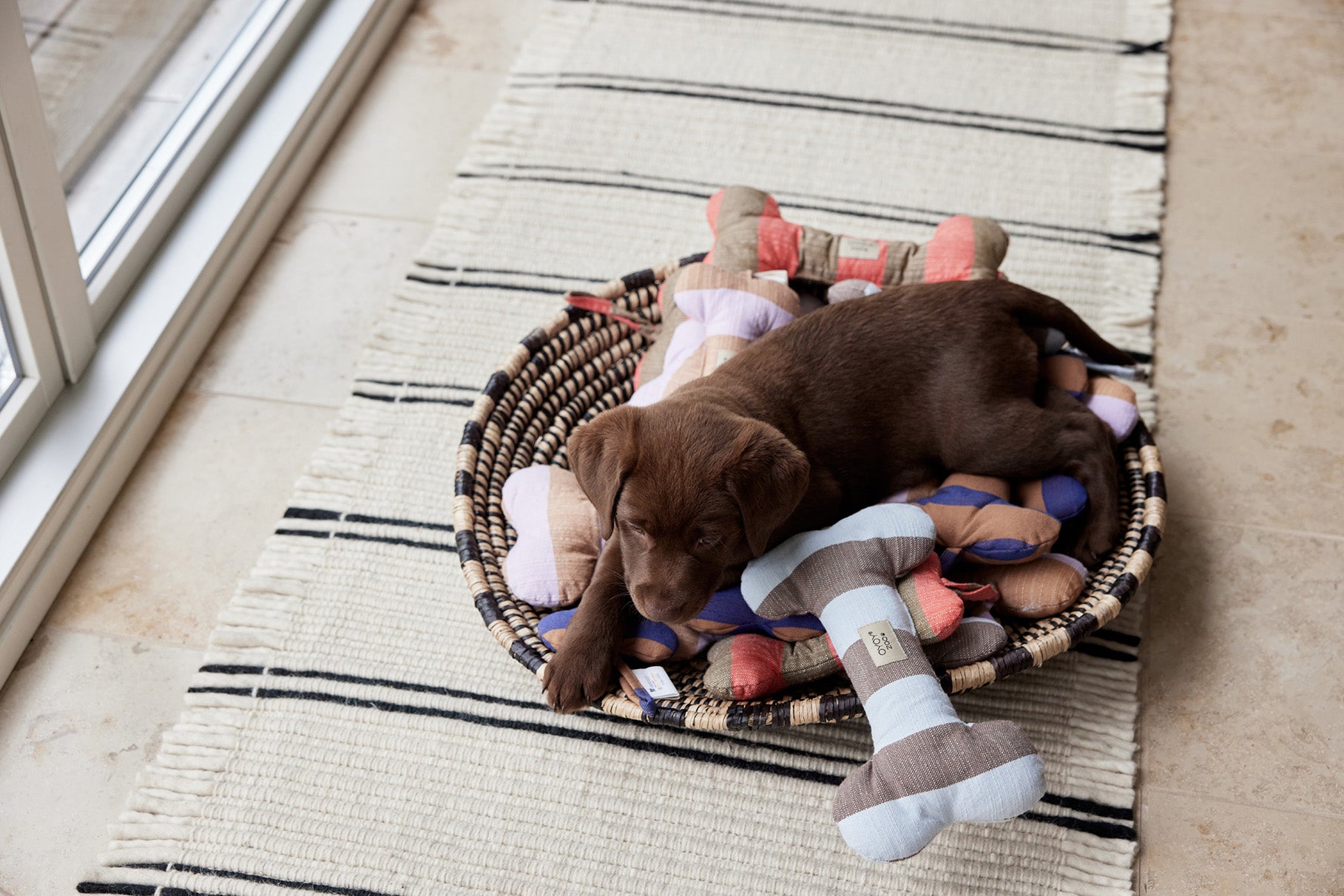 Ashi Hundespielzeug Groß Textil Blau