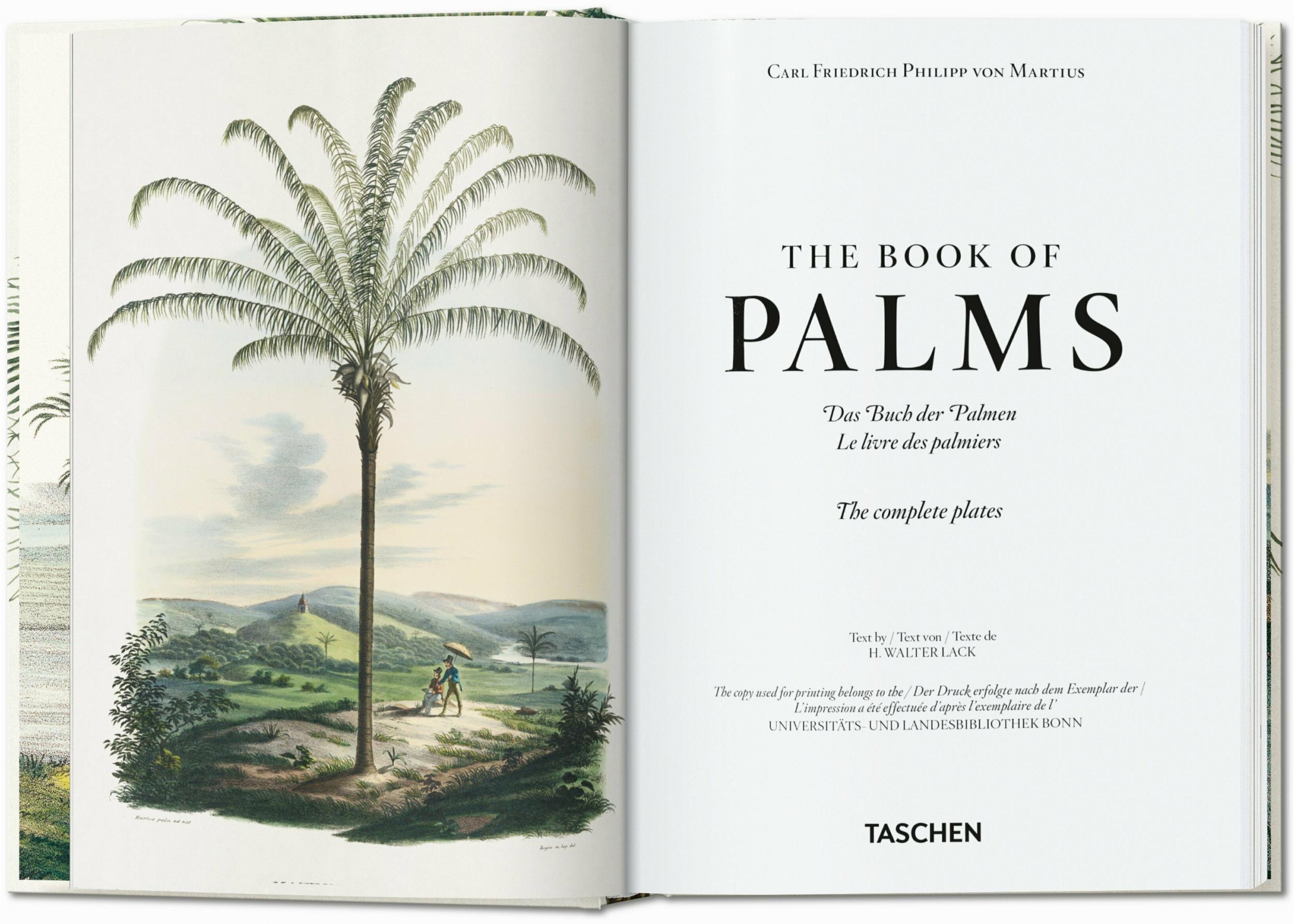 Italian target? No.
    *   Is it possible the user thinks "The Book of Palms" is German? No.

    *   Let's search for this specific book. It's a Taschen book. Taschen is a German publisher.
    *   The title is often listed as: "Martius. Das Buch der Palmen".
    *   The user provided: "