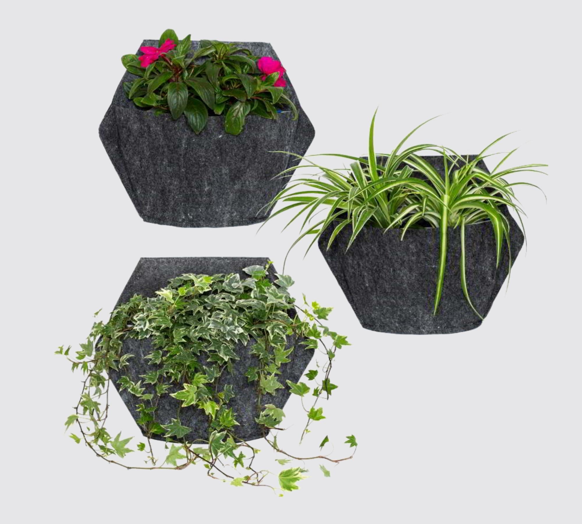 3x Wand-Blumentopf Schwarz mit Selbstbewässerung Textilbezug