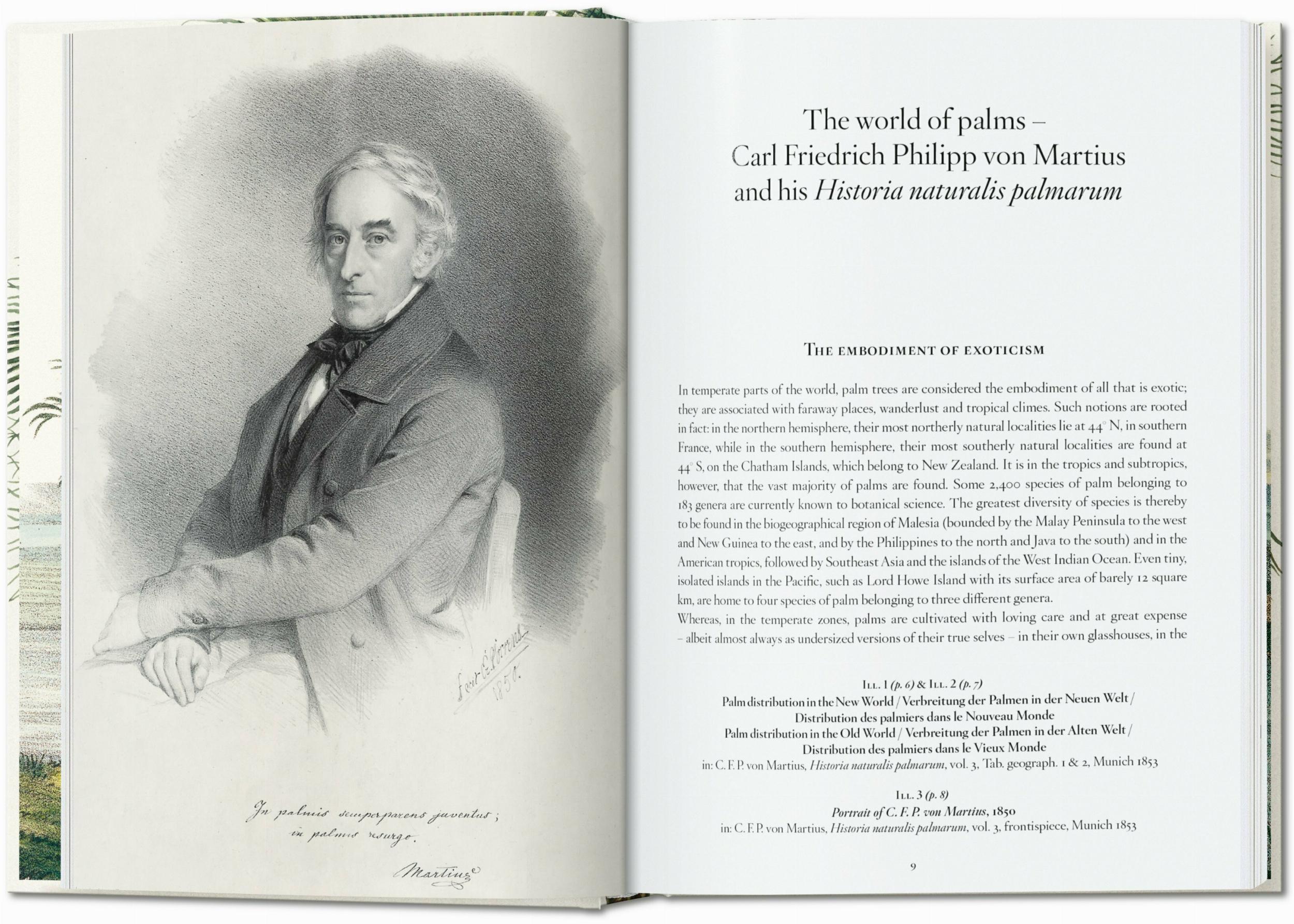 Martius. The Book of Palms. 45th Ed.