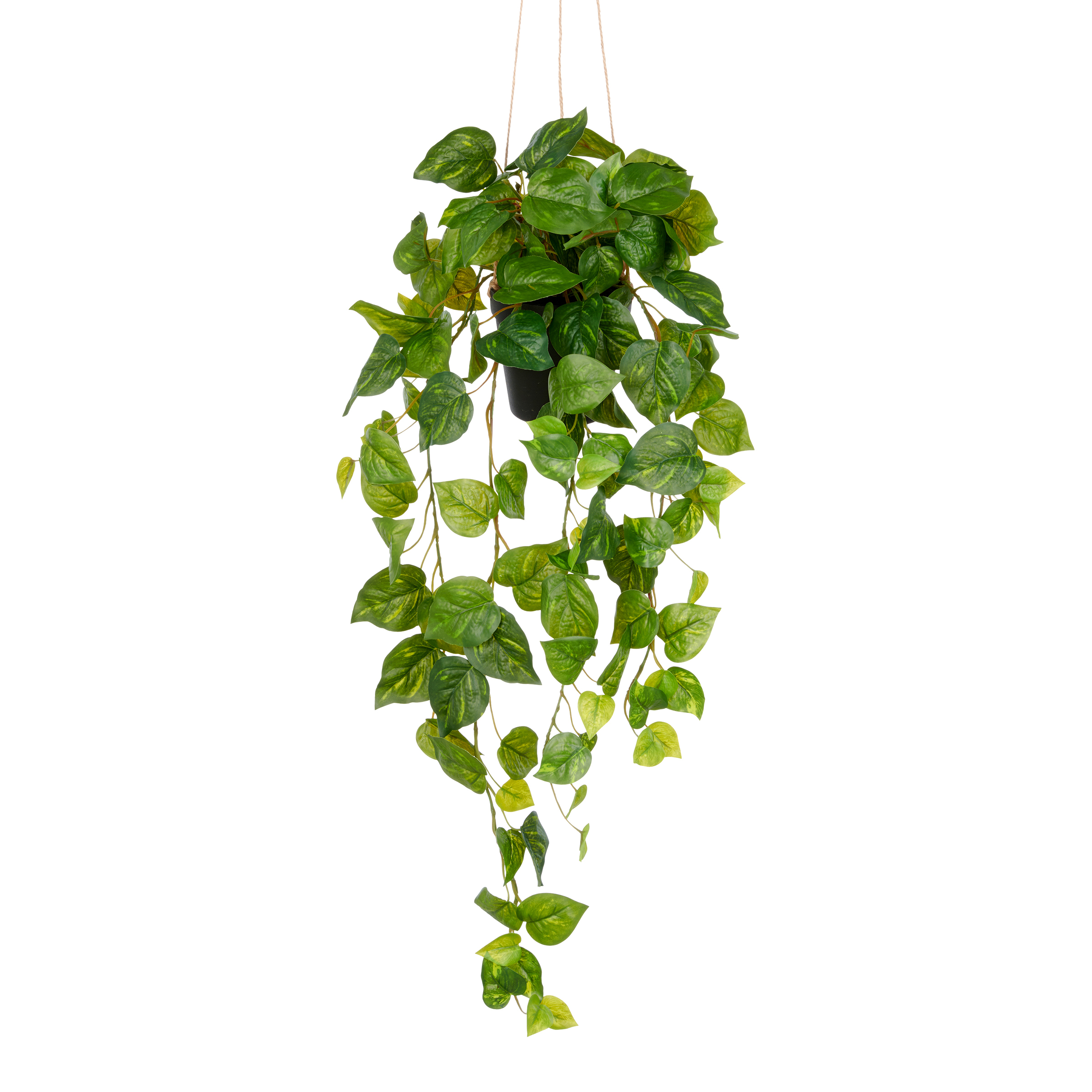 Kunstpflanze Philodendron Hederaceum Polyethylen Grün