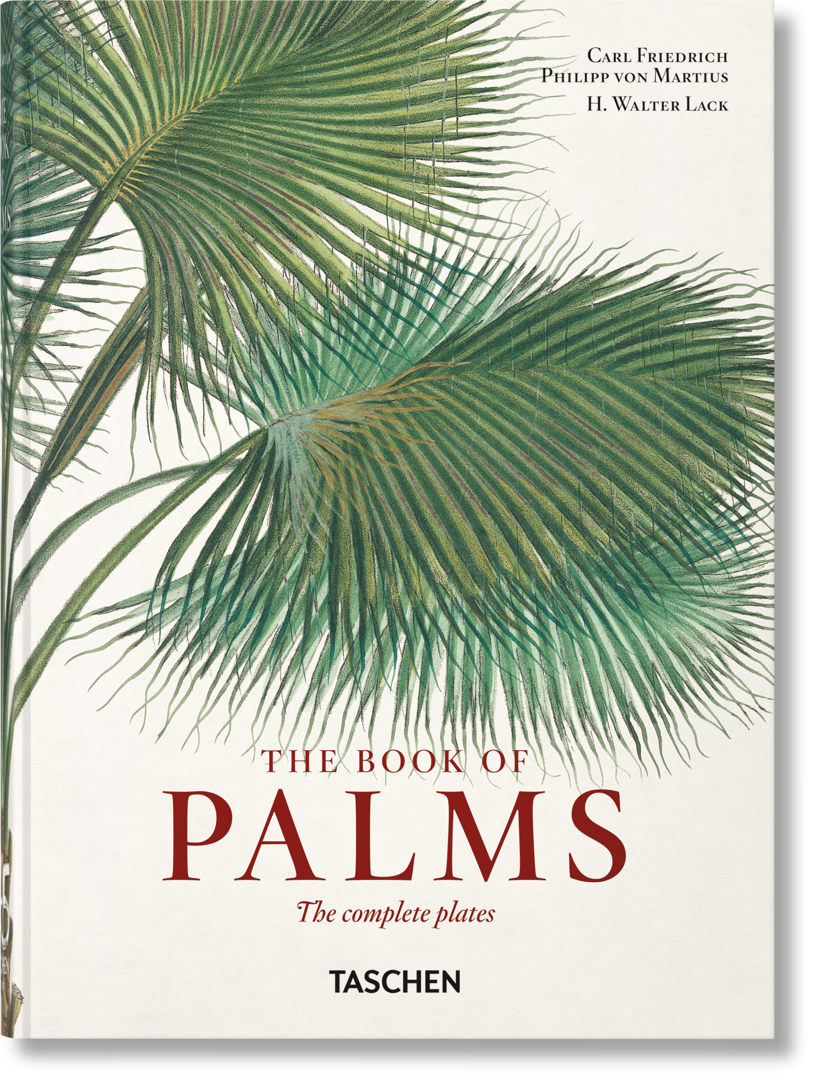 Italian target? No.
    *   Is it possible the user thinks "The Book of Palms" is German? No.

    *   Let's search for this specific book. It's a Taschen book. Taschen is a German publisher.
    *   The title is often listed as: "Martius. Das Buch der Palmen".
    *   The user provided: "