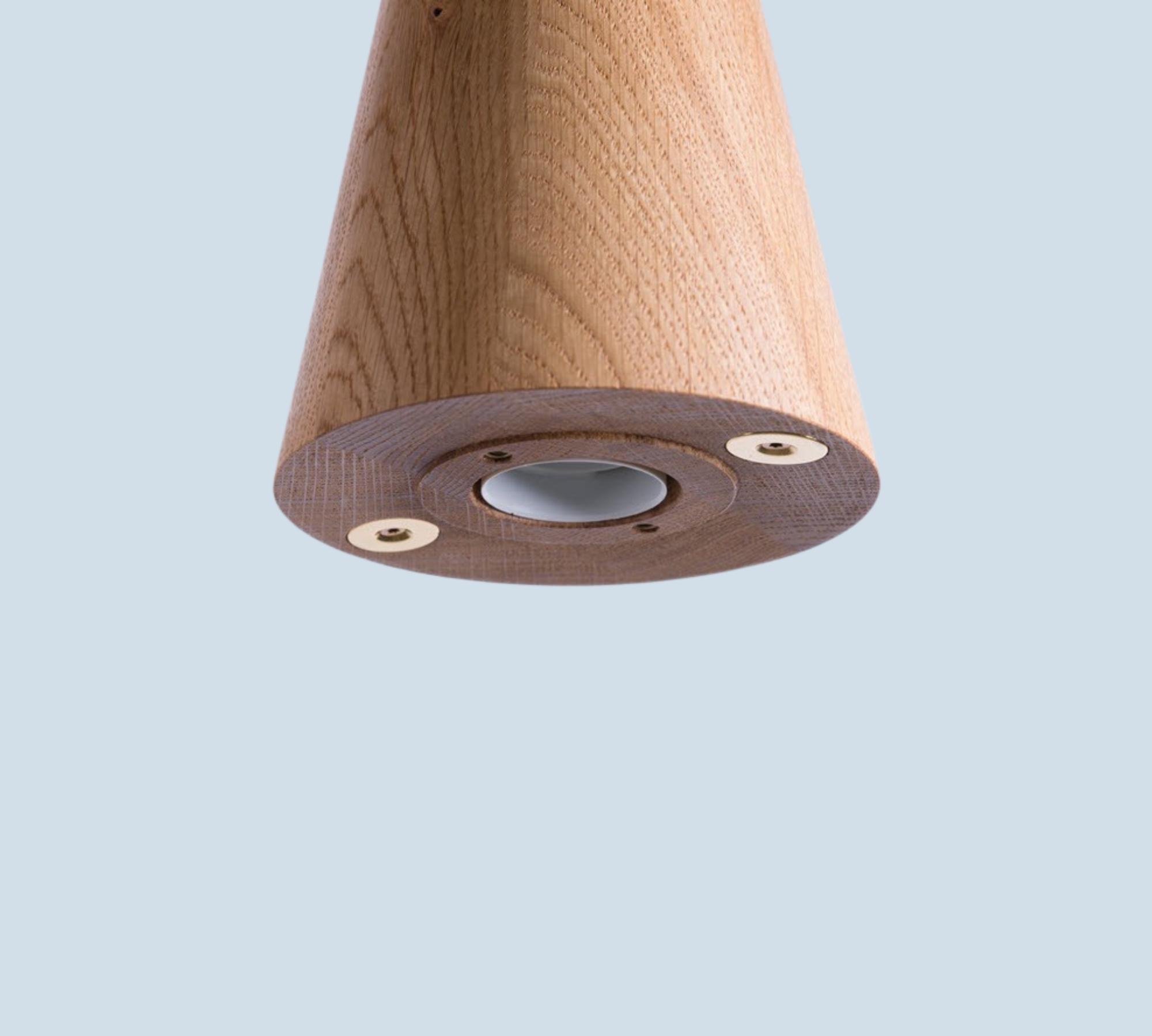 Eikon Lampe Pistazie / Esche