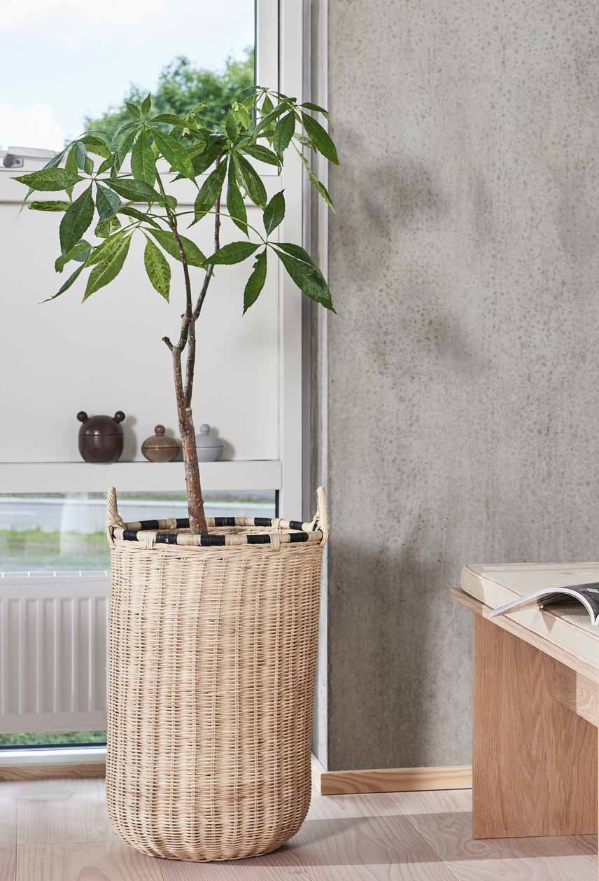 Saga Bonbonniere Stein Blau