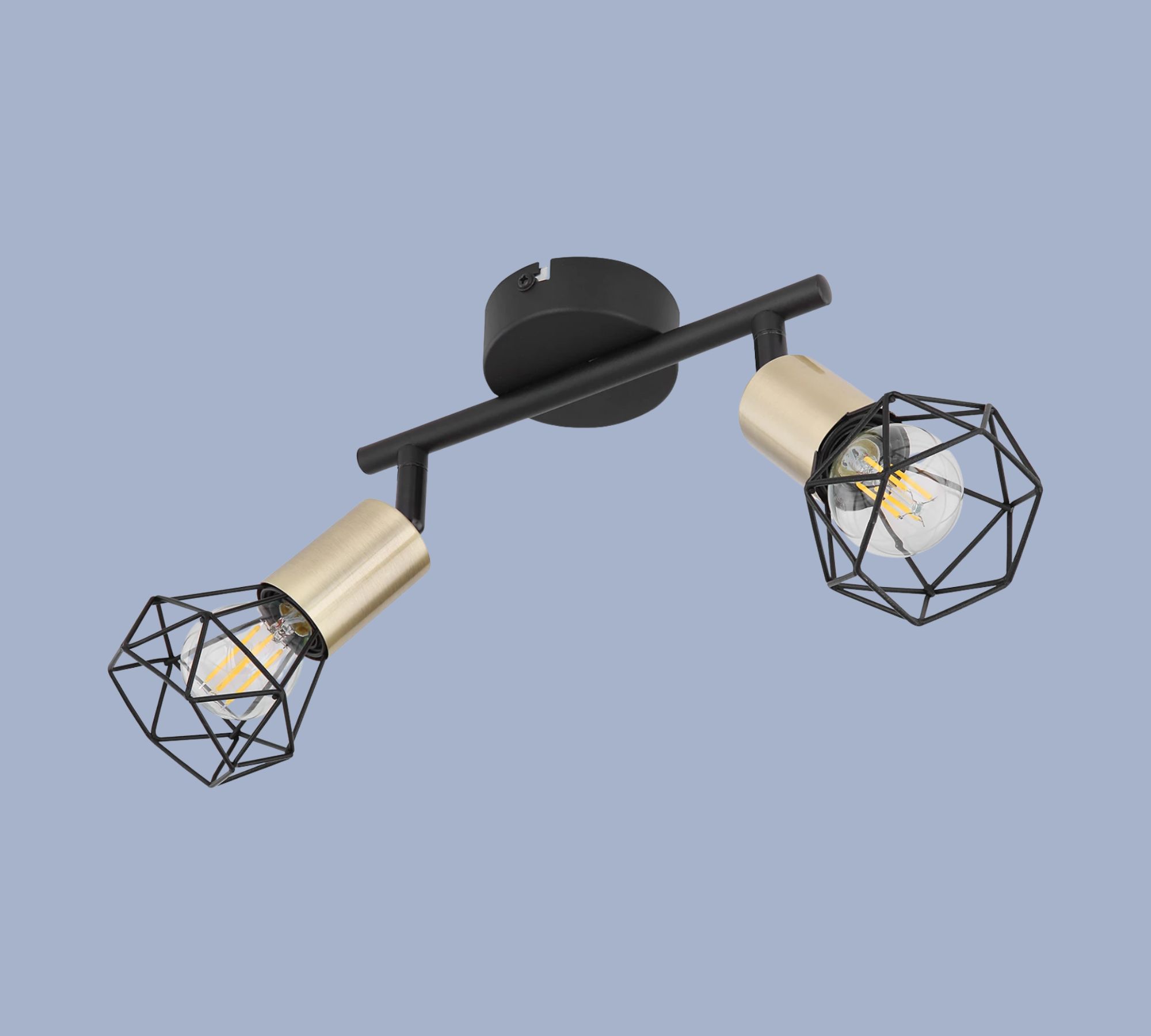 2-flame ceiling light metal black