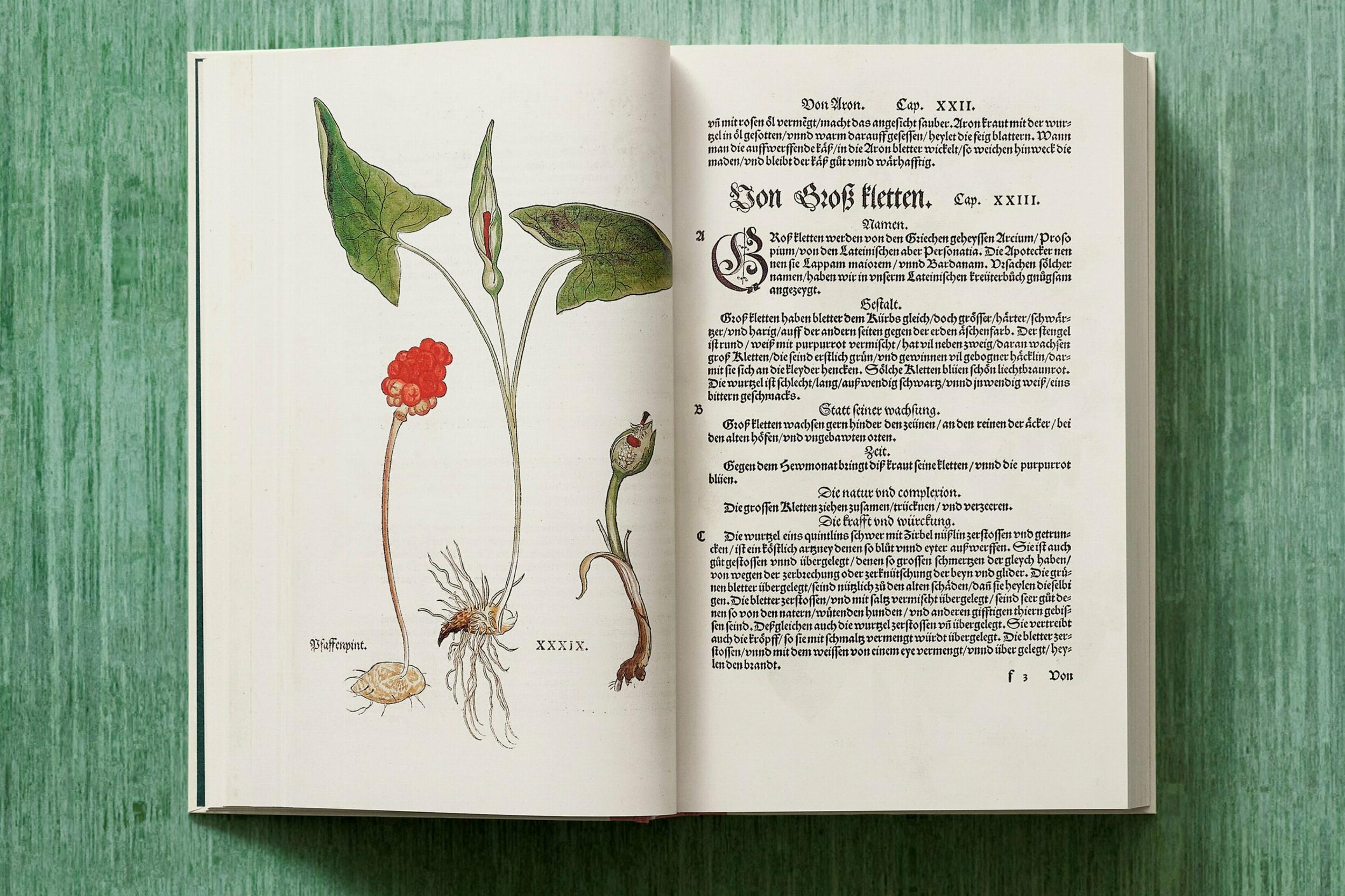 Leonhart Fuchs. Das New Kreüterbuch