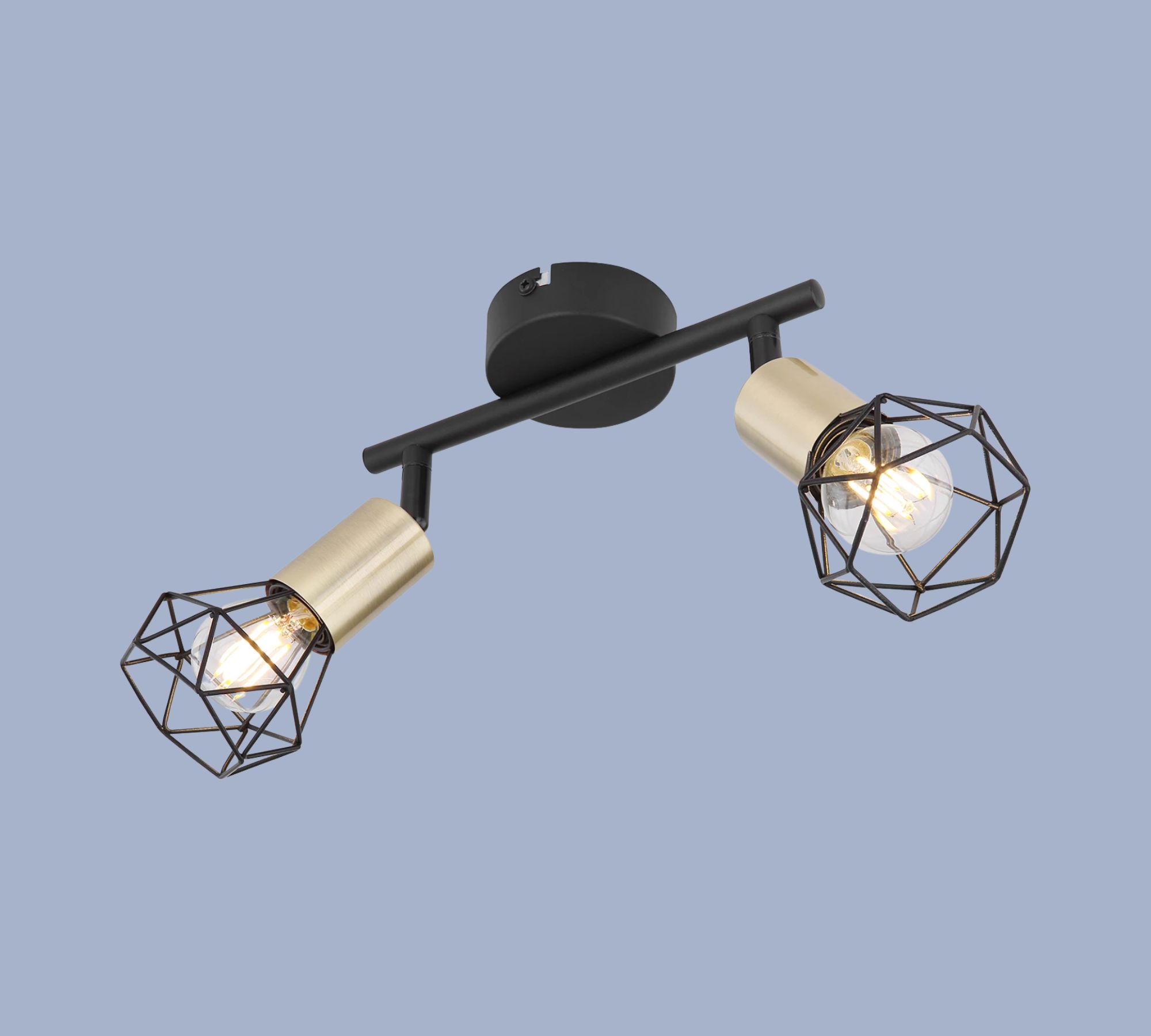 2-flame ceiling light metal black