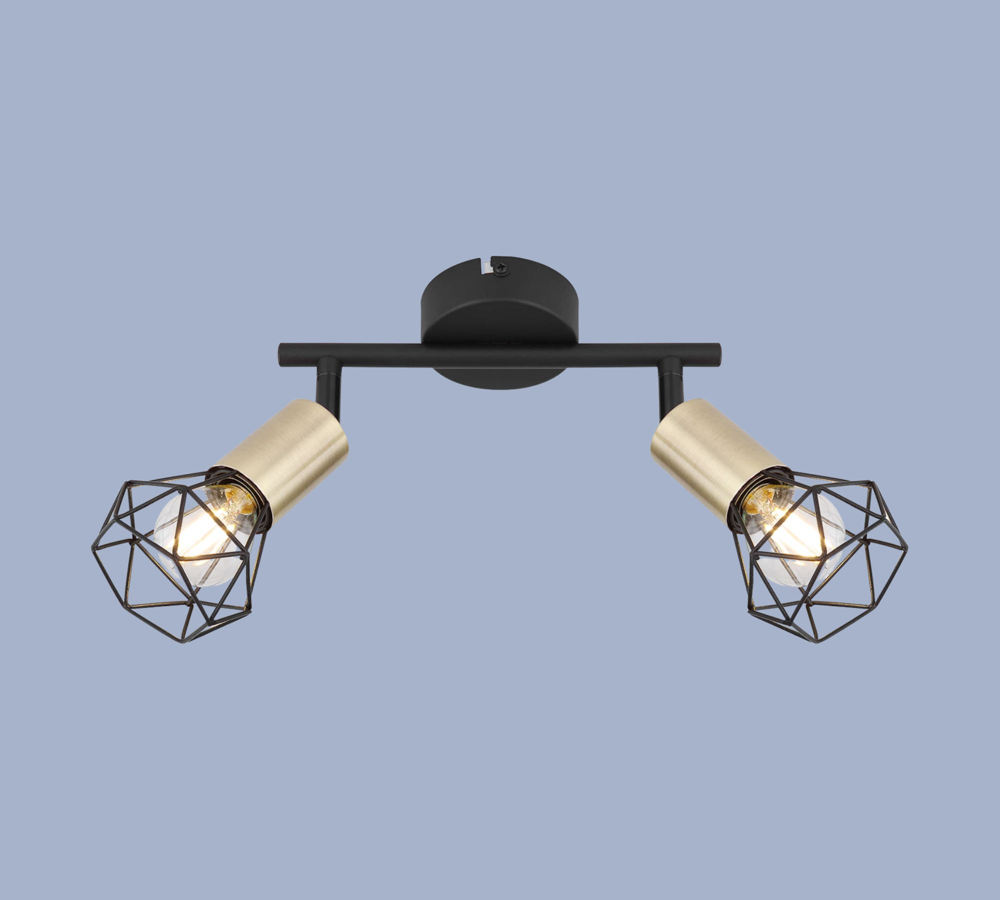 2-flame ceiling light metal black