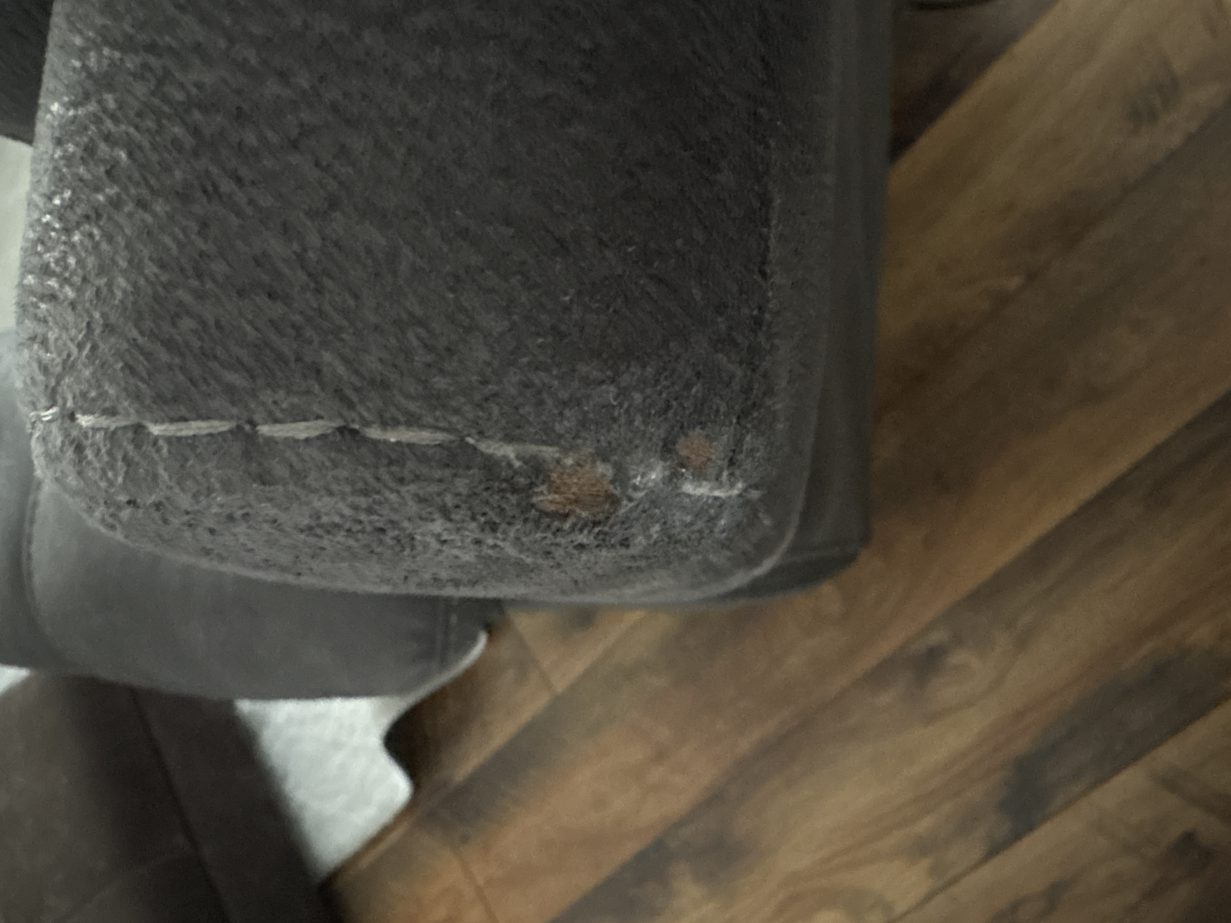 Armchair Reclining Function Grey