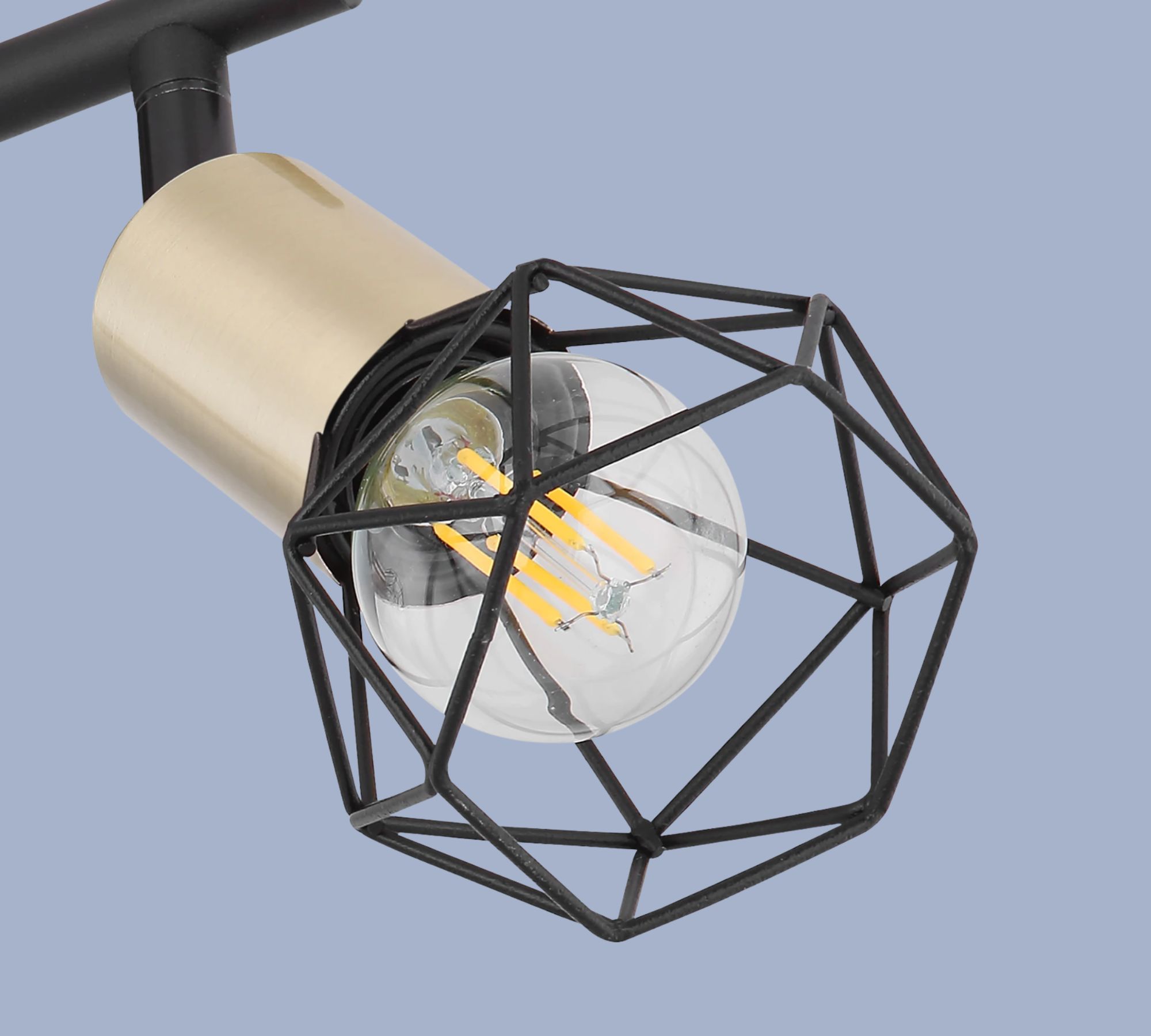 2-flame ceiling light metal black