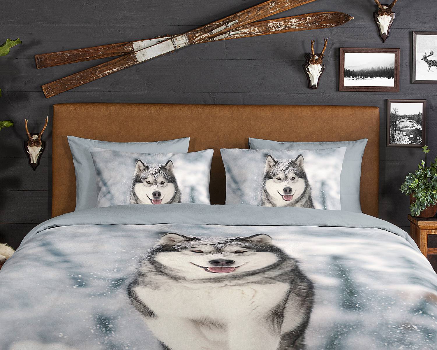 Husky Bettwäsche Baumwolle Grau 140x200/220cm Kissen 70x60cm