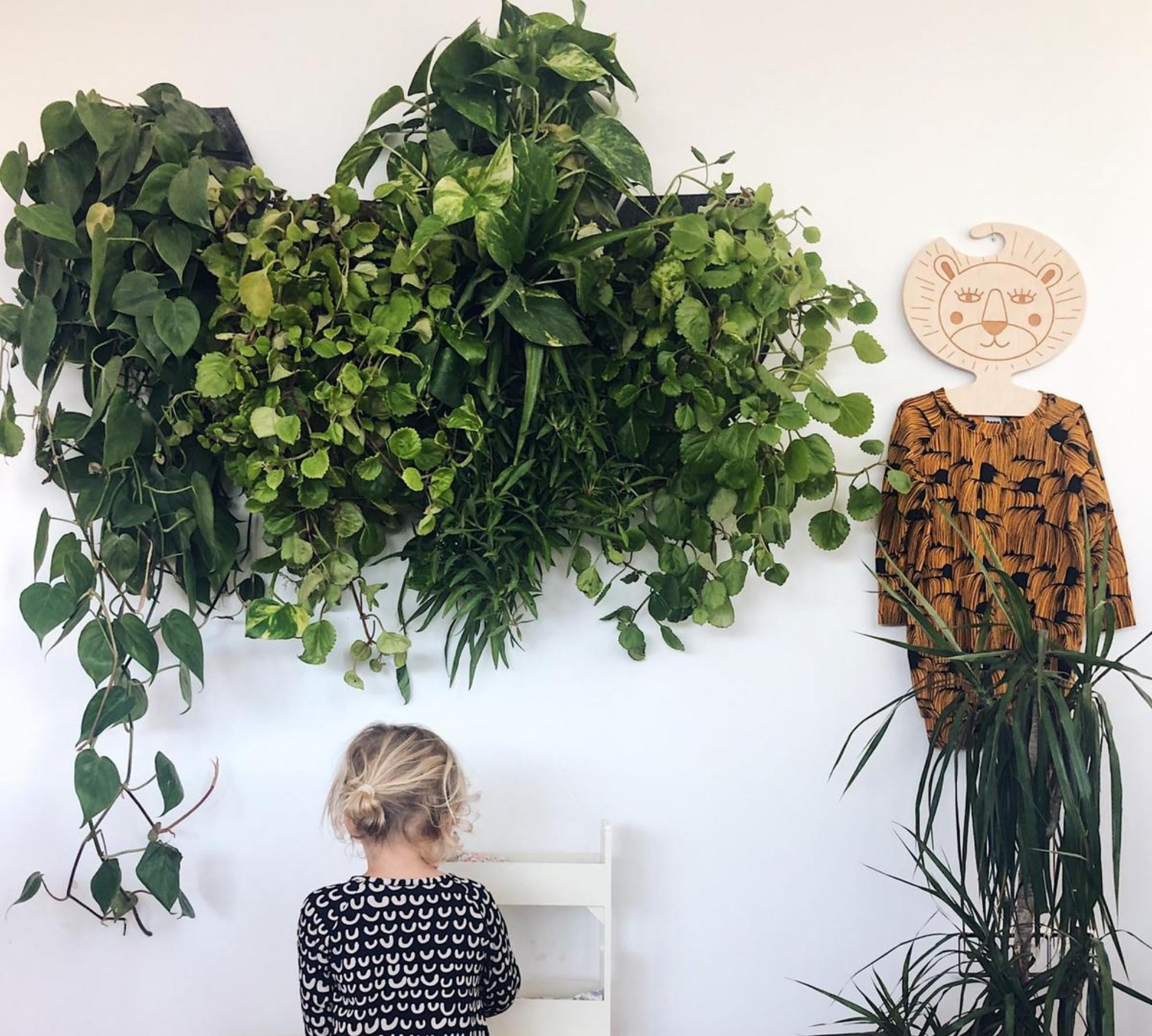 3x Wall planter with self-watering