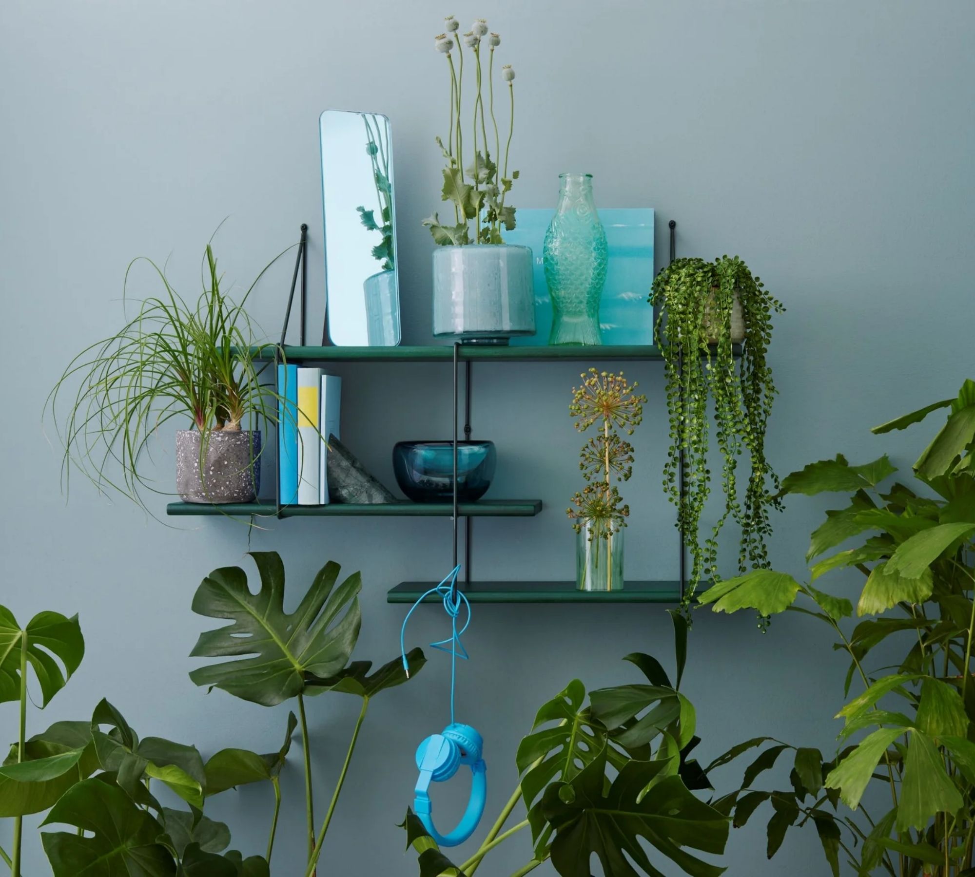 Shrink Regal Buchenholz Stahl Grün