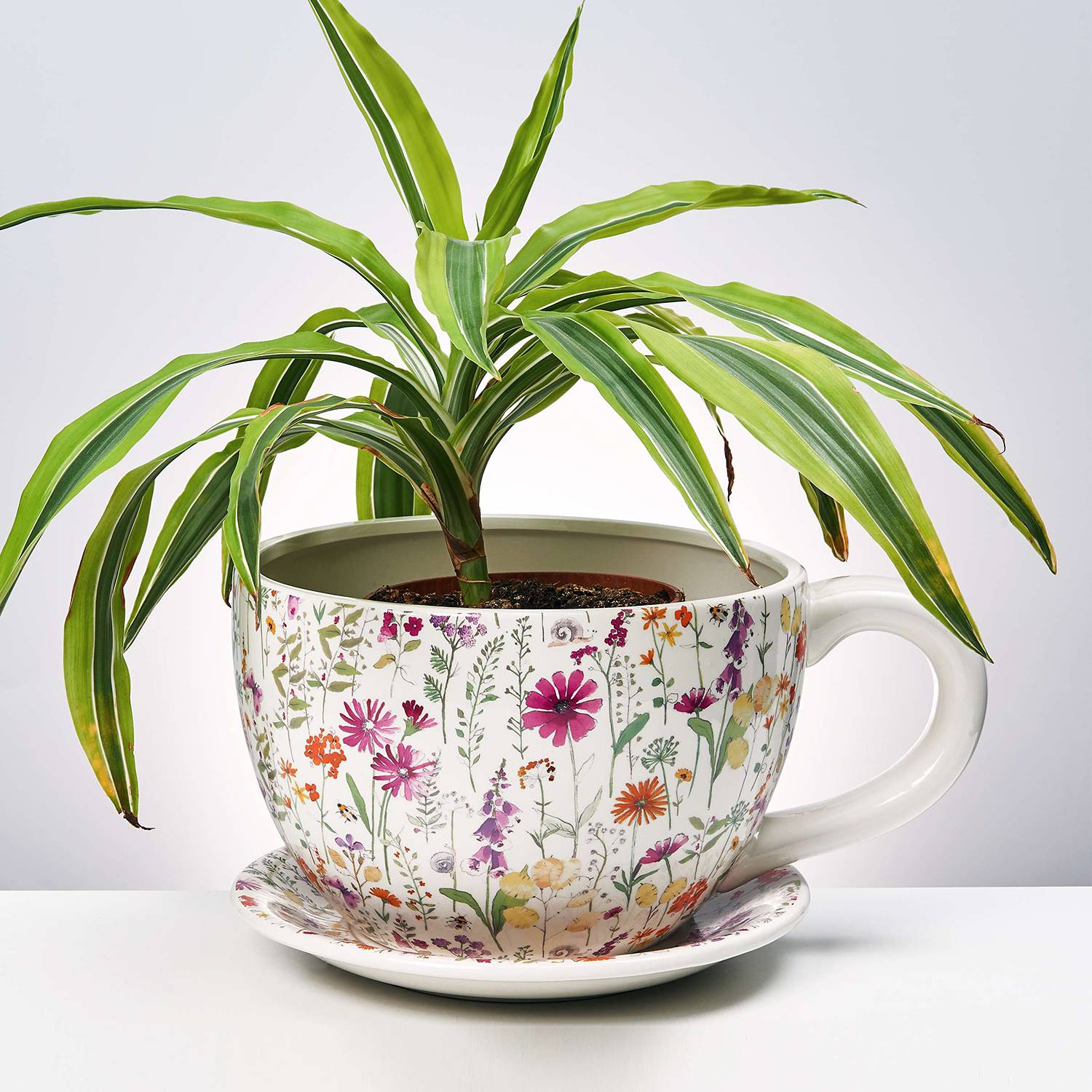 Pflanztasse Blumendekor PLANT A CUP Dolomit Mehrfarbig