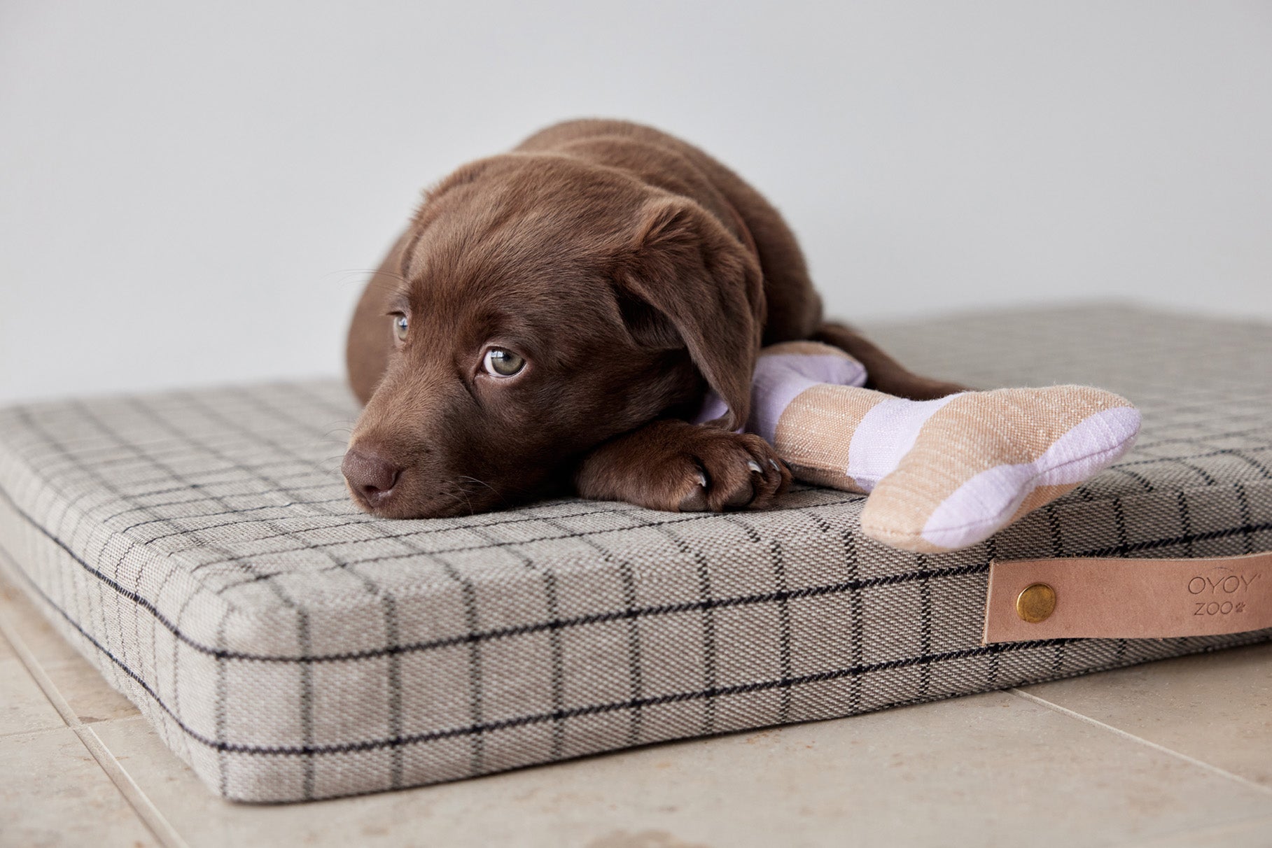 Ashi Hundespielzeug Polyester Recycelt Mehrfarbig