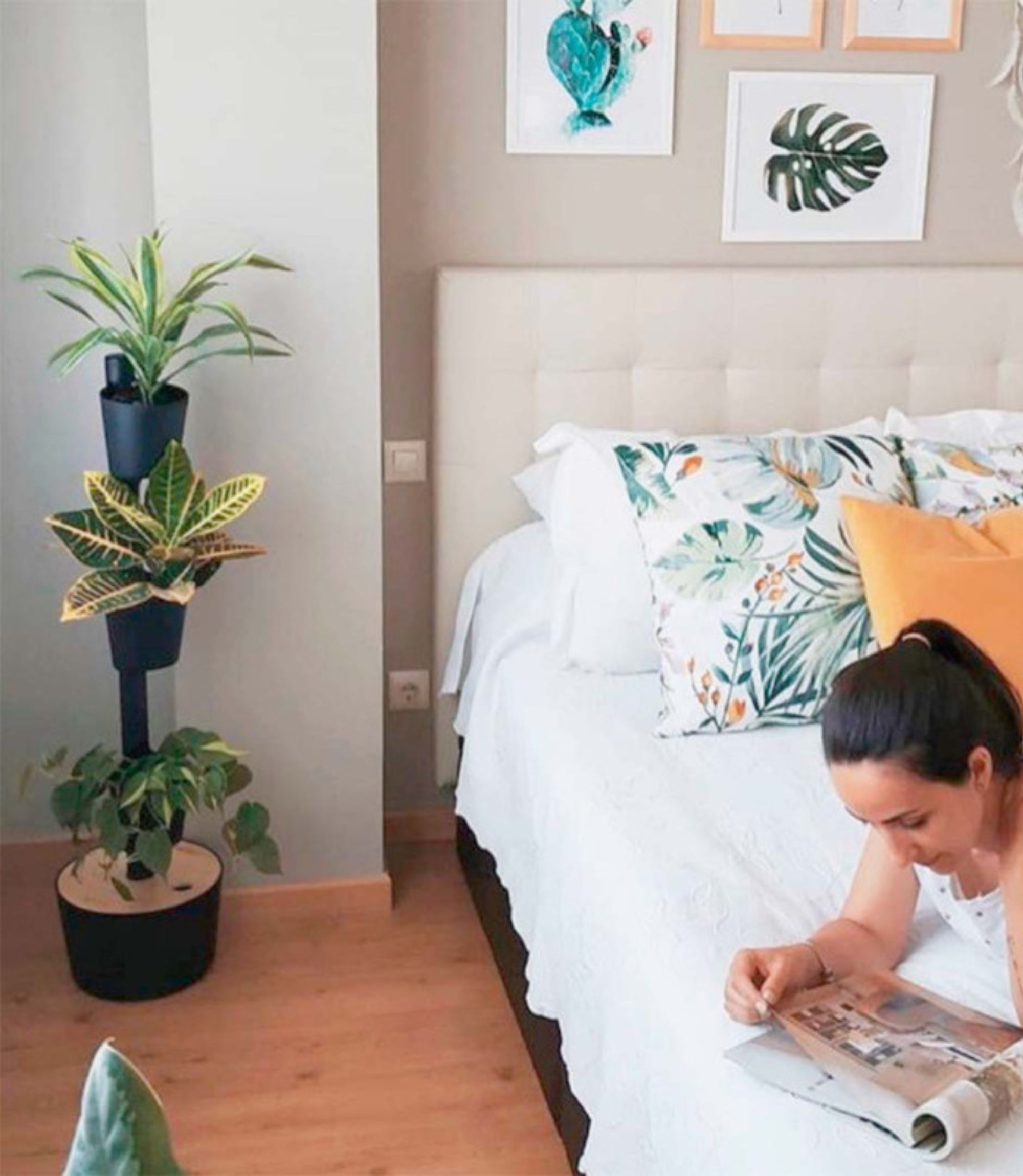 Design Award: Pine Wood Black Planting System