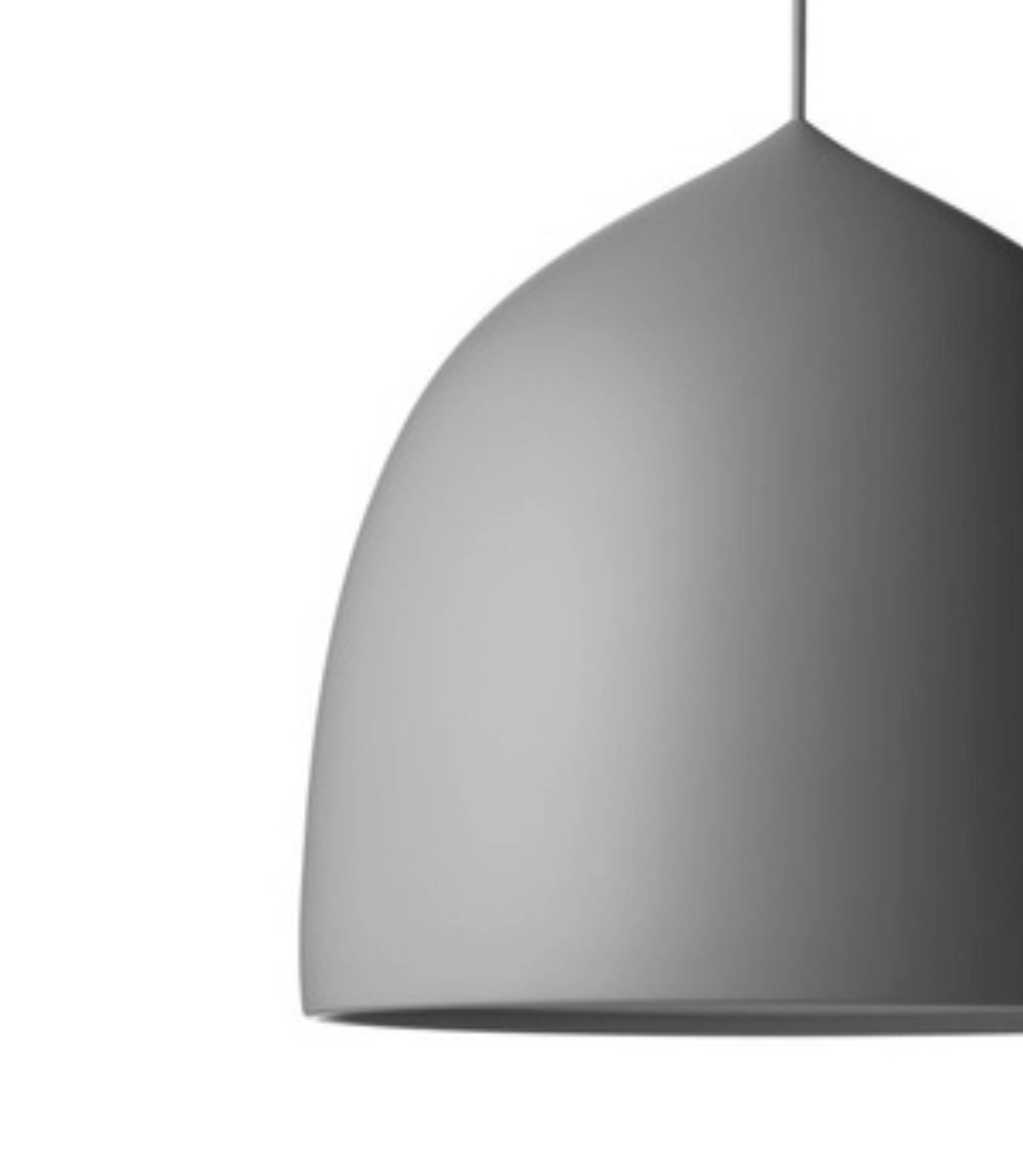 Suspence P2 Pendelleuchte Metall Kunststoff Grau