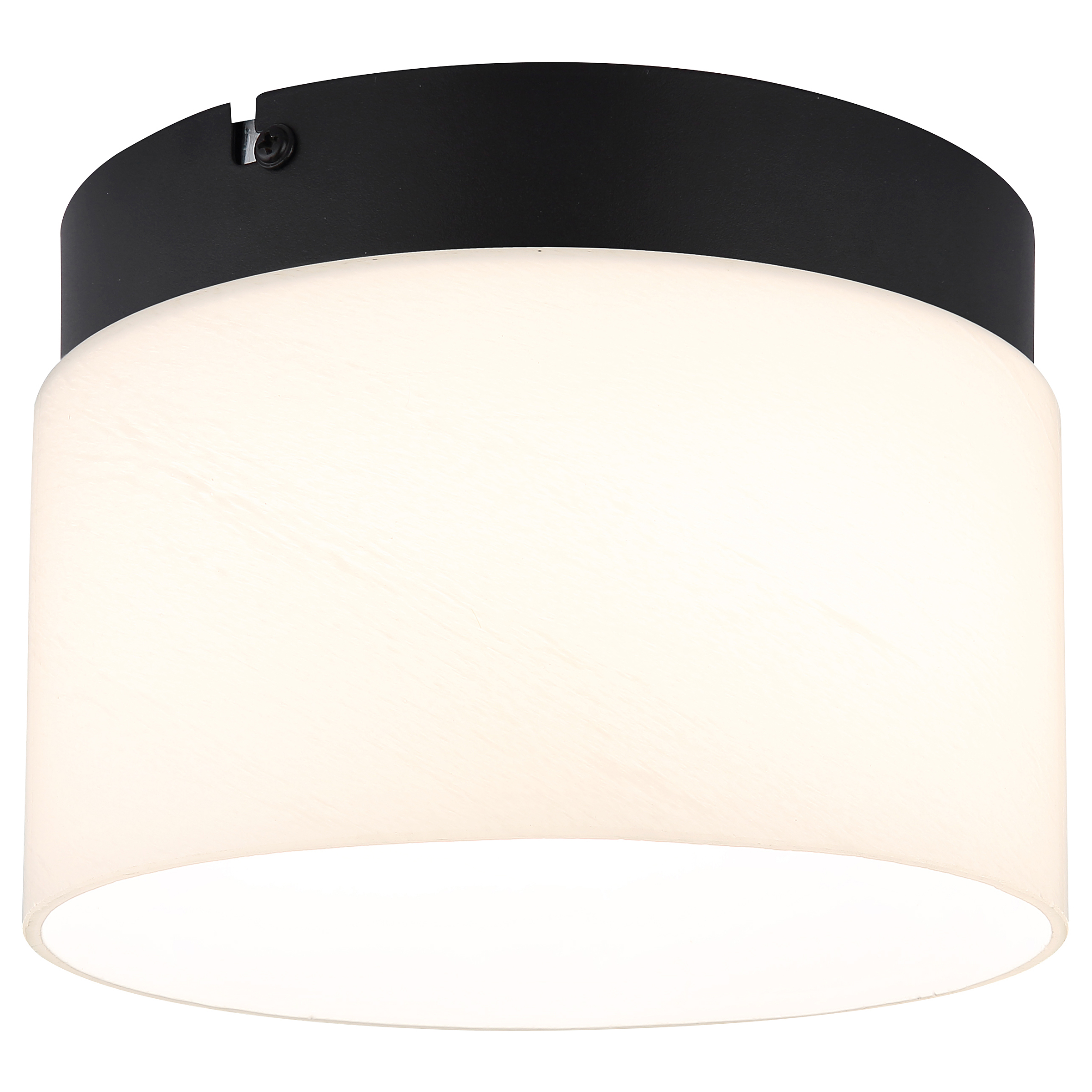 Trenton LED ceiling light 1-bulb opal glass iron