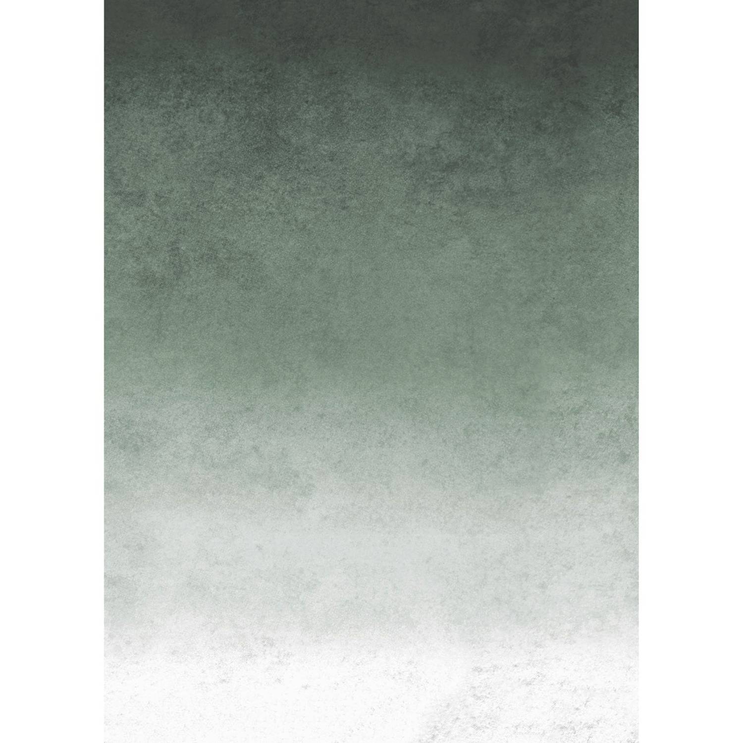 Vlies Fototapete Fading Grun Vlies Grün