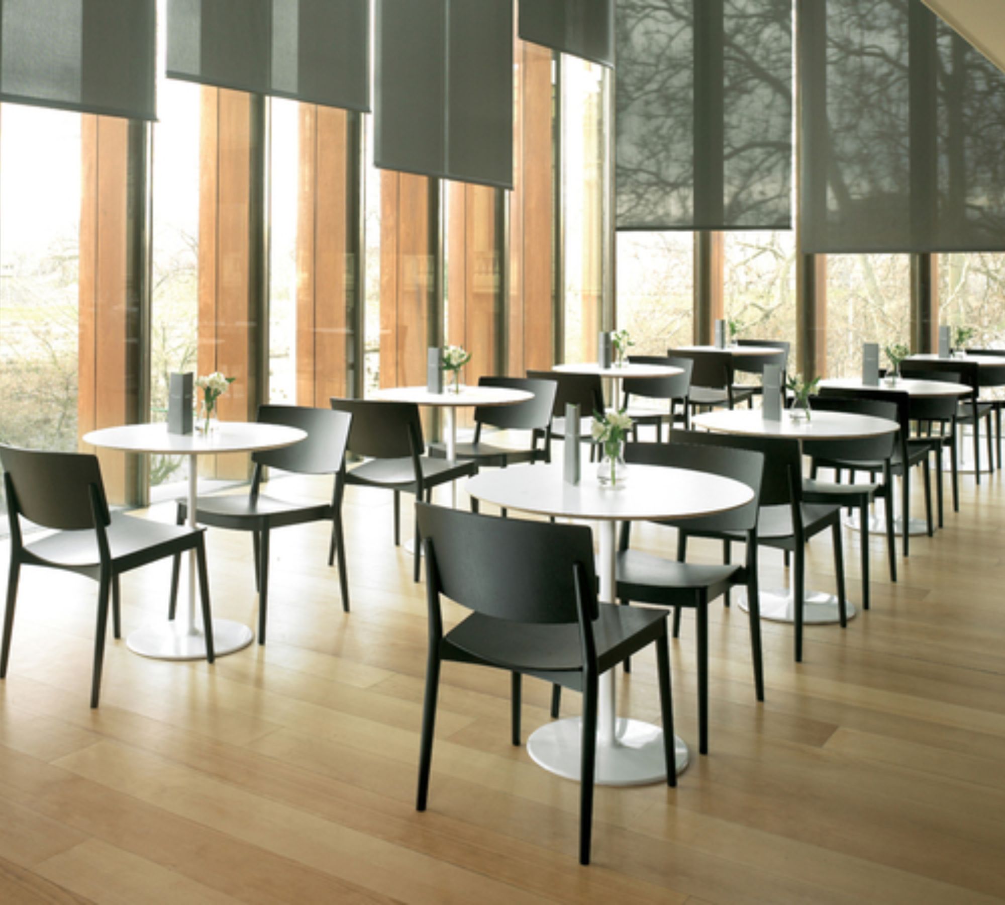 Happy Esszimmerstuhl Leder Holz Schwarz