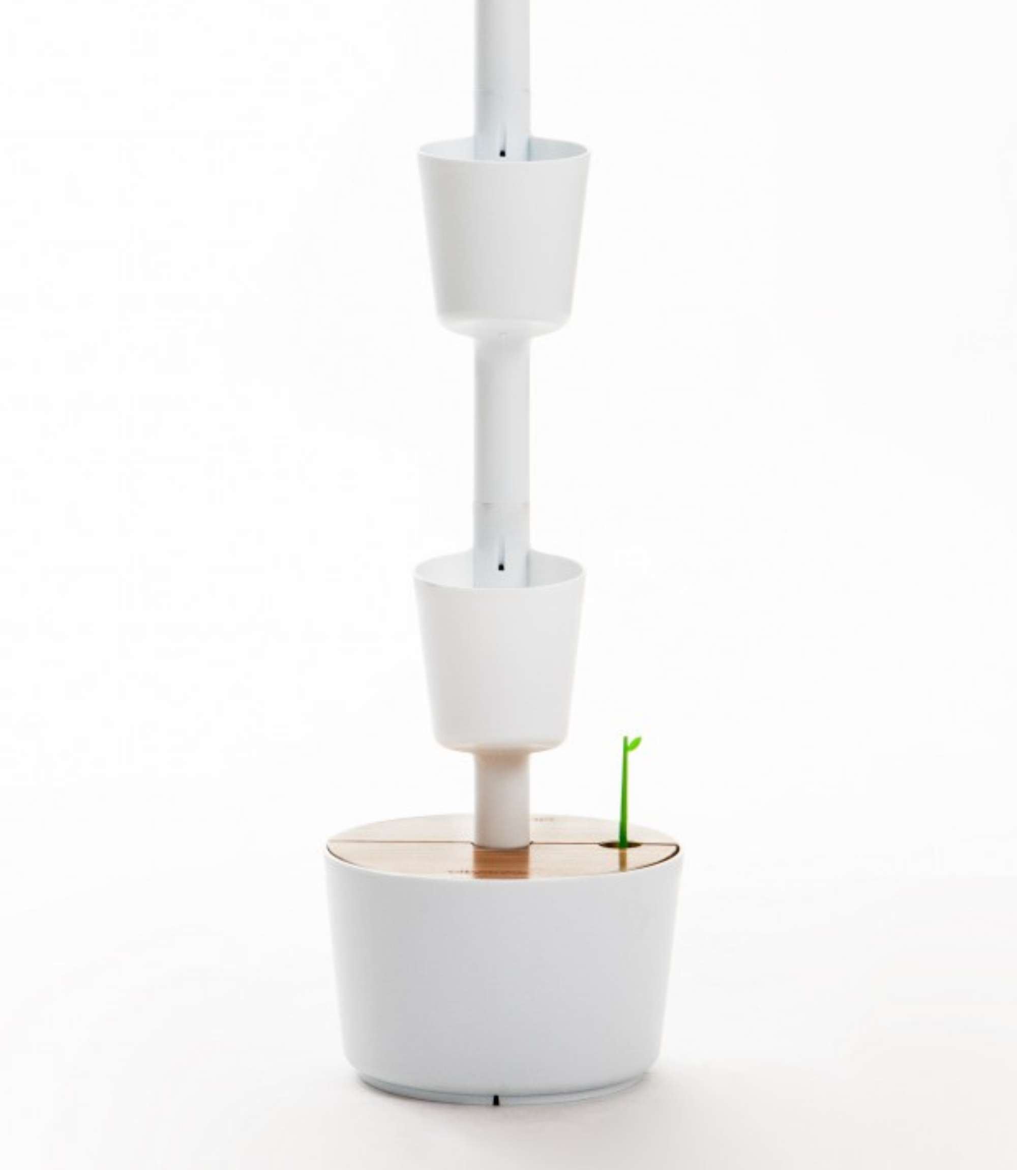 Design Award: Pine wood planting system Automatic irrigation