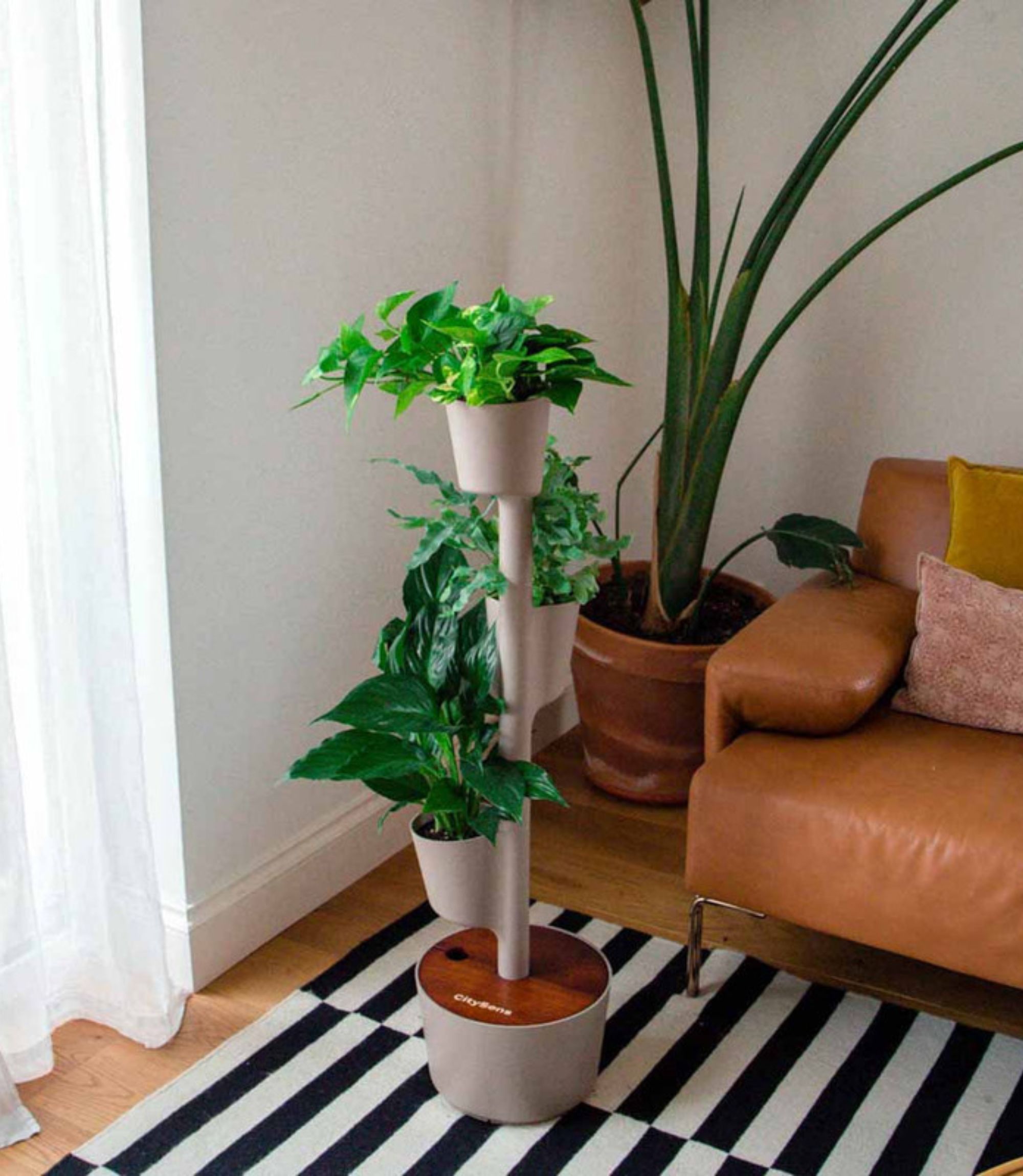 Design Award: Plant system Teak wood Autom. Irrigation