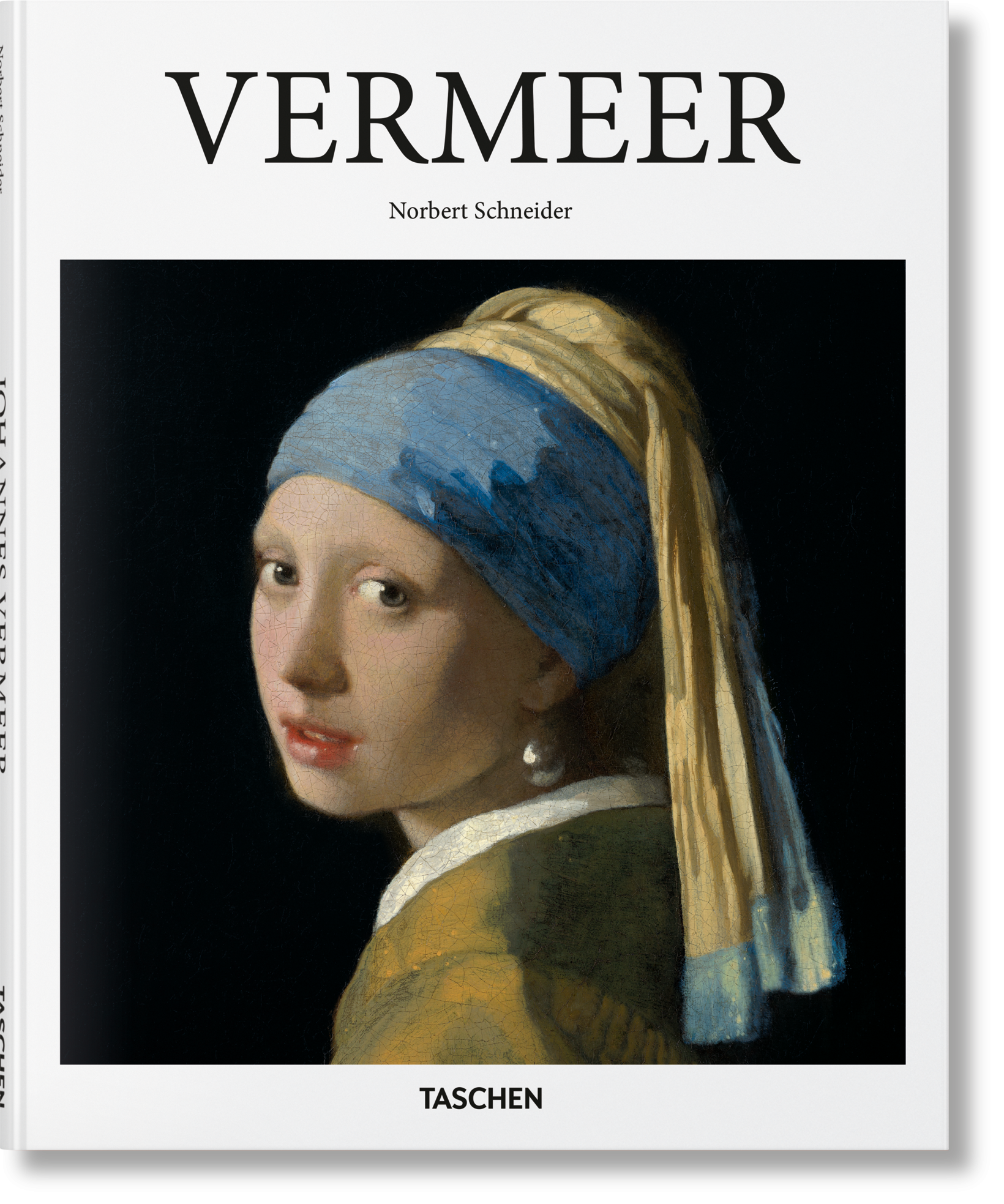 Libro Vermeer