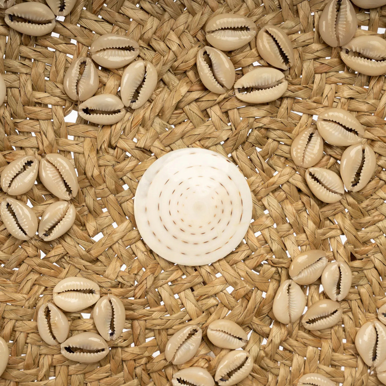 Caribe Shell Plate Beige