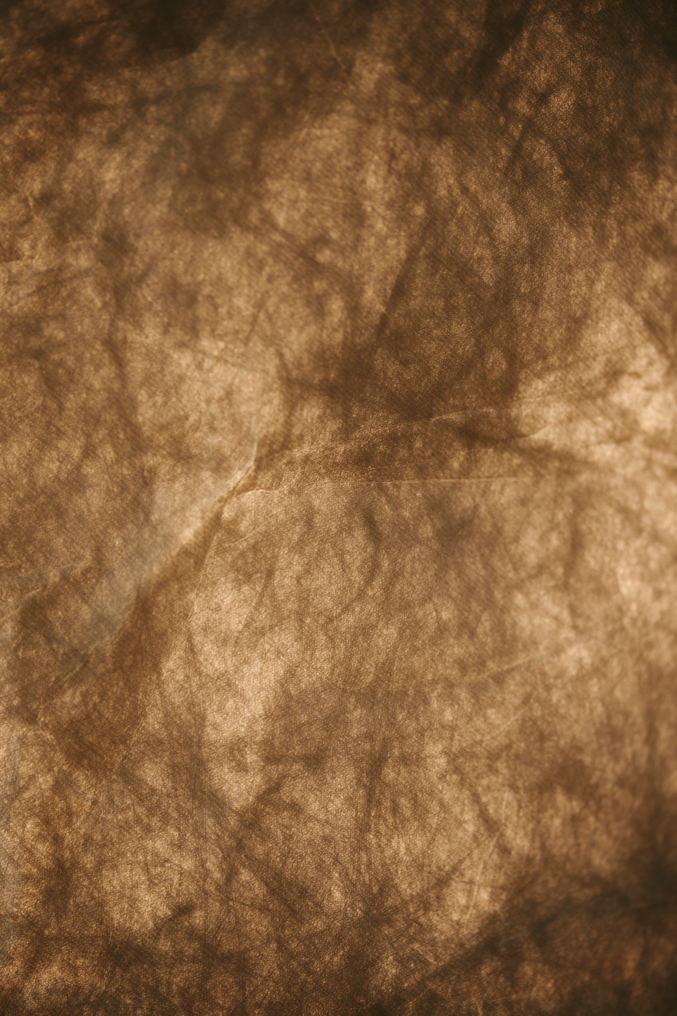 Cardine 50 Pendelleuchte Weiss