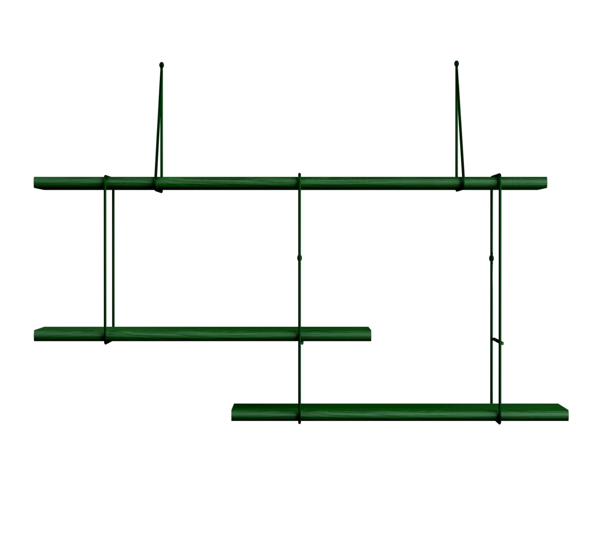 Shrink Regal Buchenholz Stahl Grün