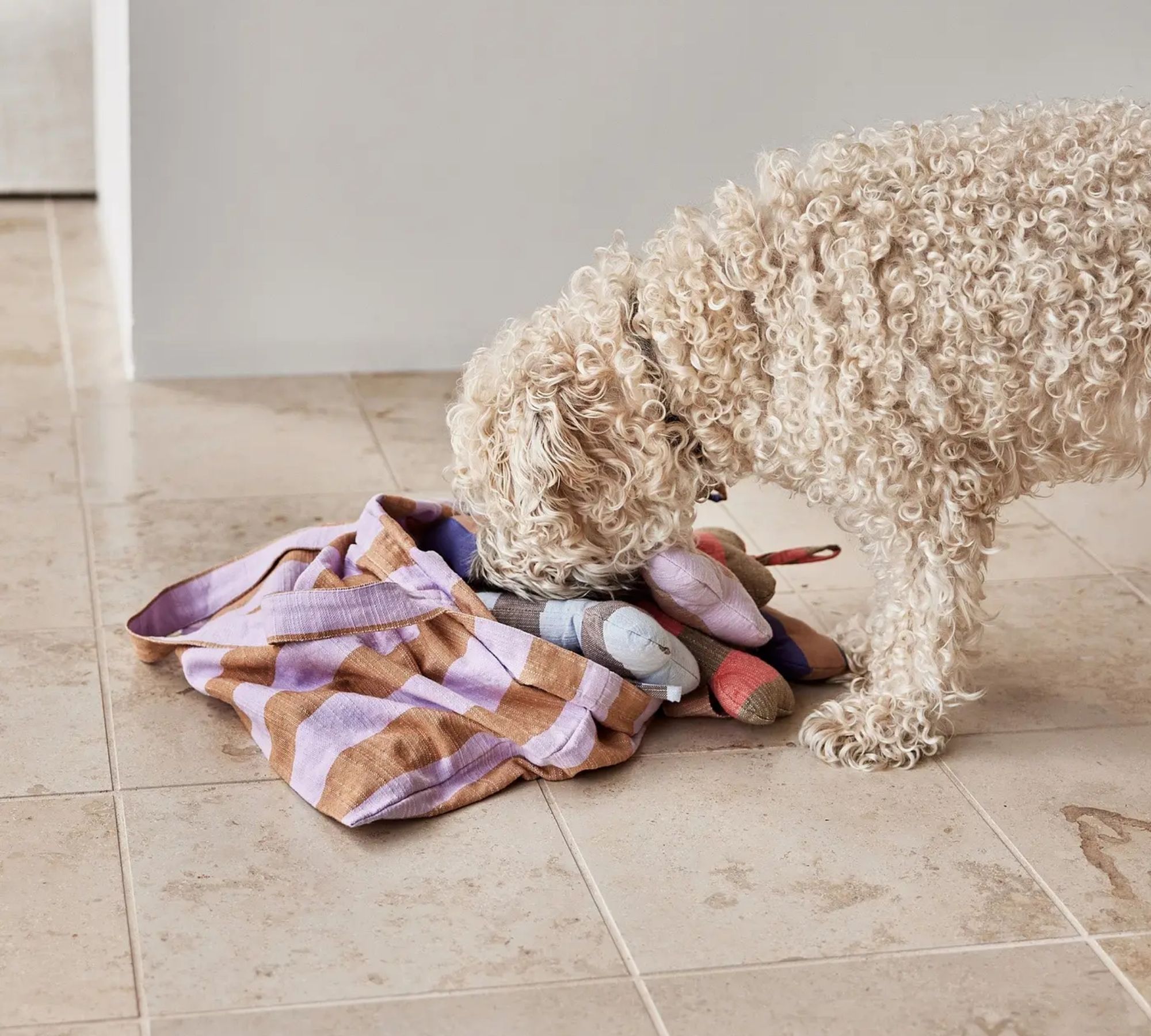 Ashi Hundespielzeug Polyester Recycelt Mehrfarbig