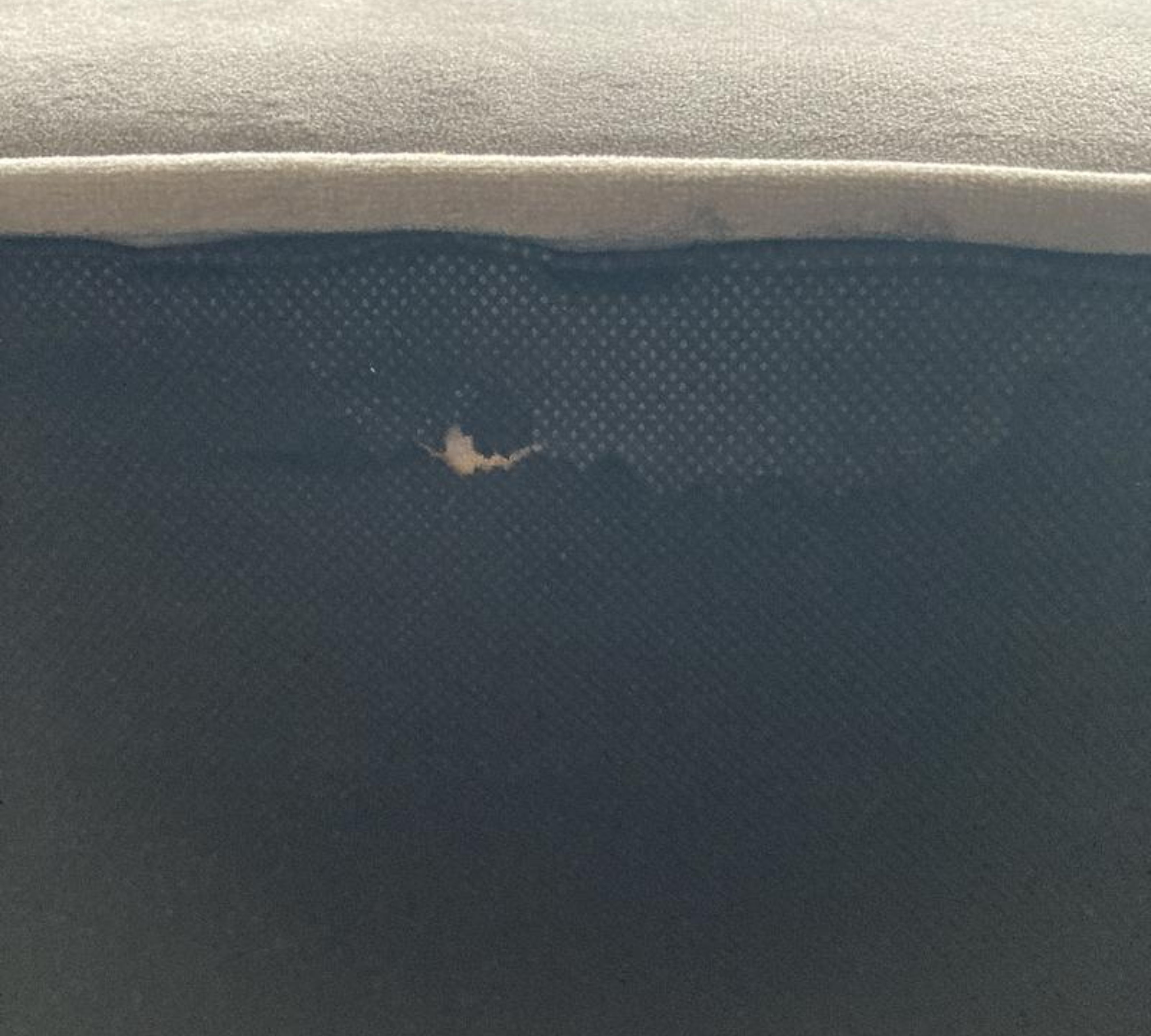 2x Cocktailsessel Samt Metall Grau