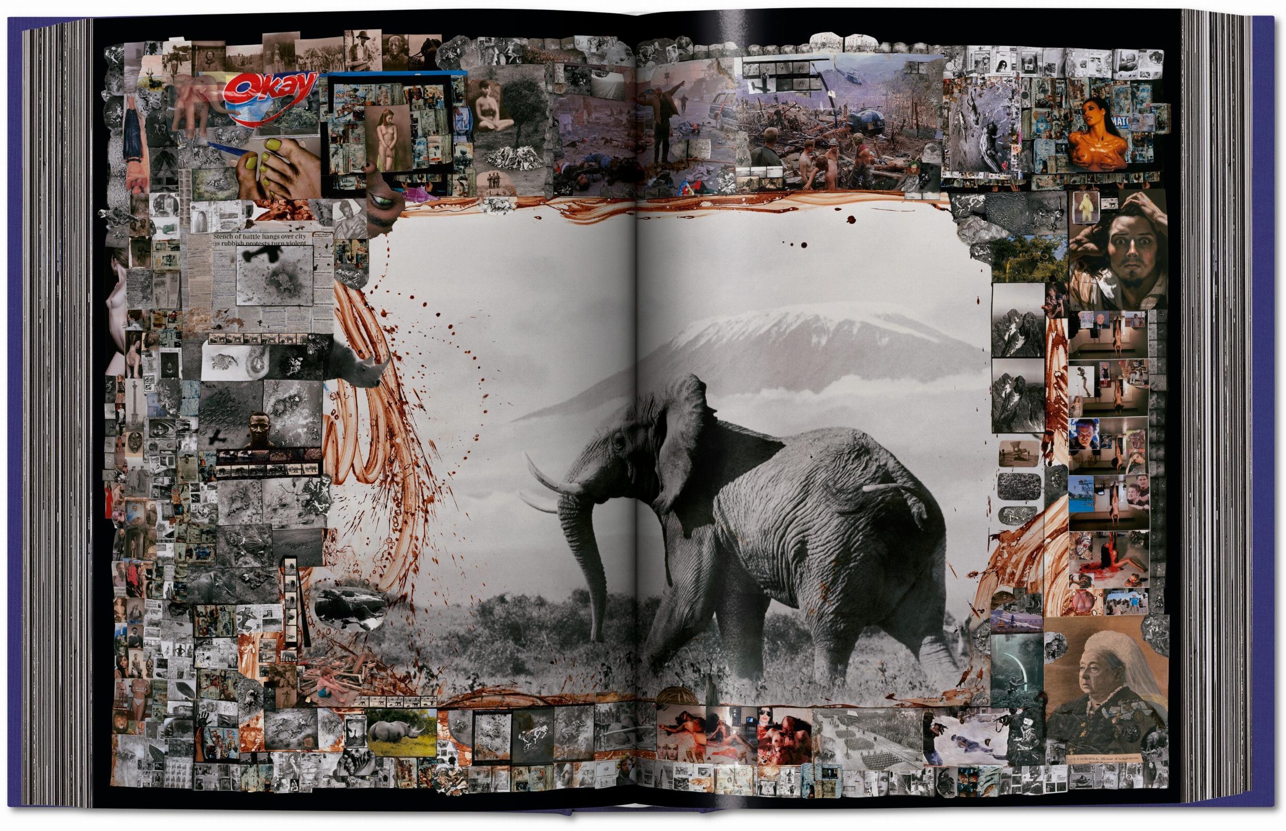 Peter Beard Buch