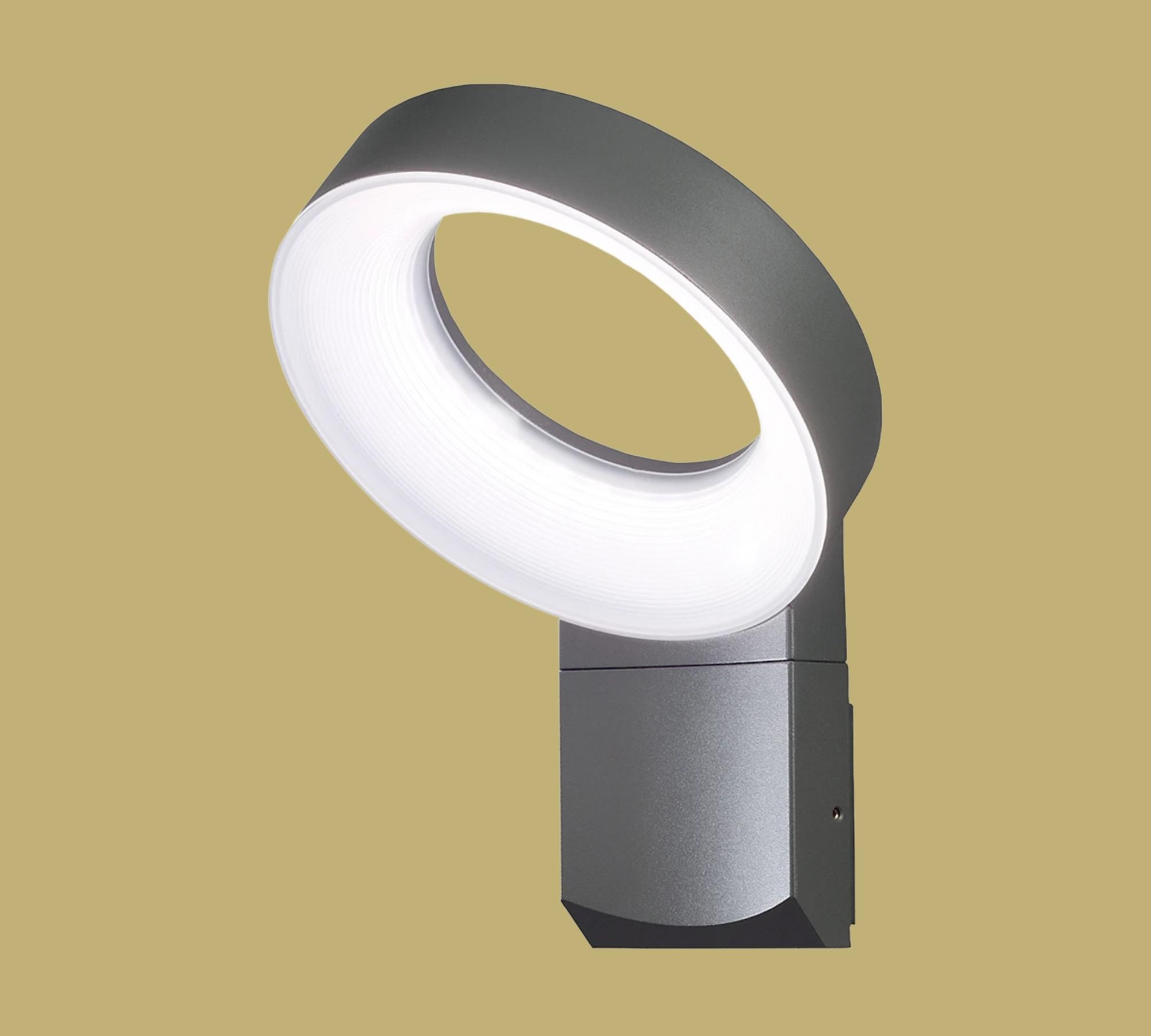 Außenleuchte in Ringform Anthrazit 
