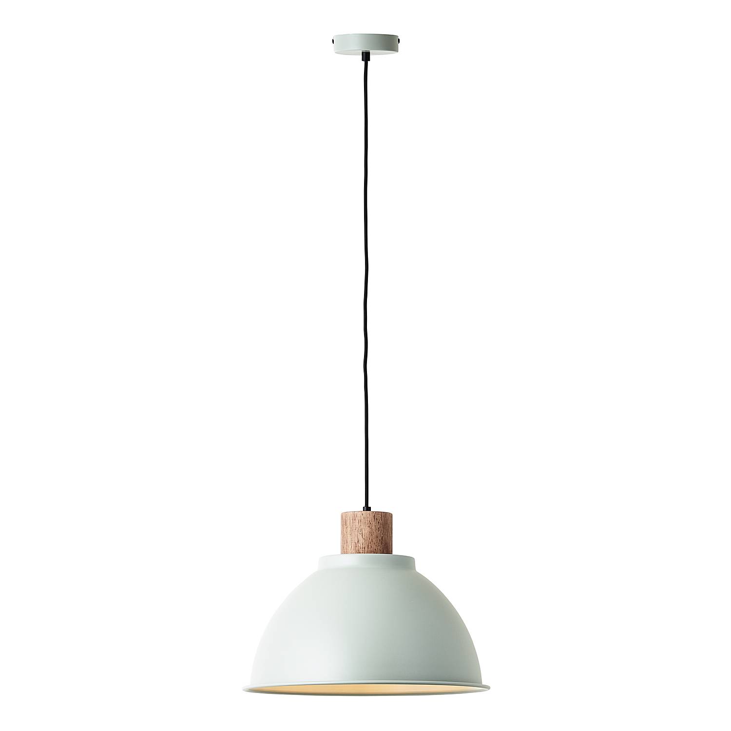 Pendant Light Erena 1-Light Iron Green