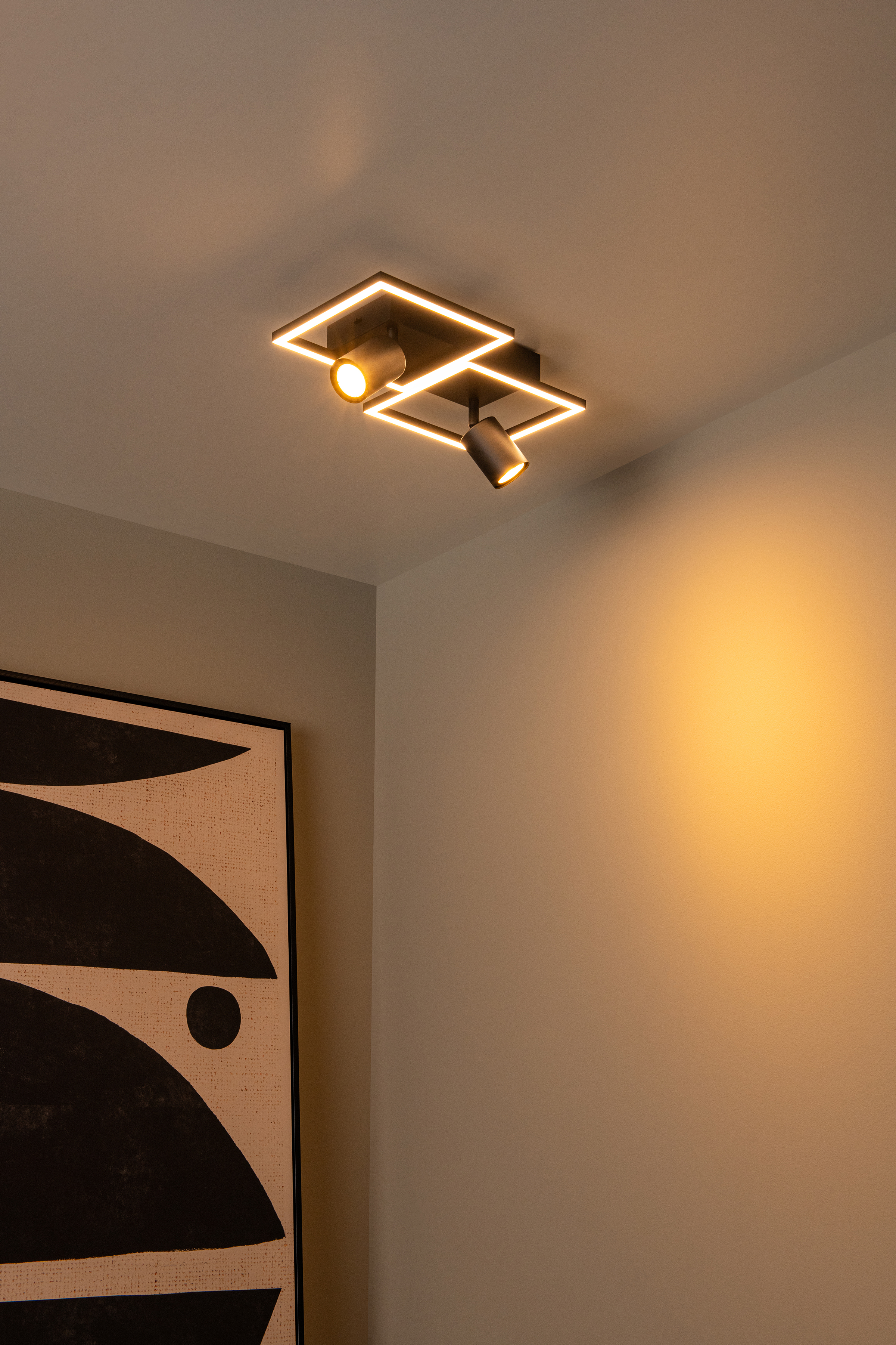 Arianne Type A Ceiling Light Aluminium Black