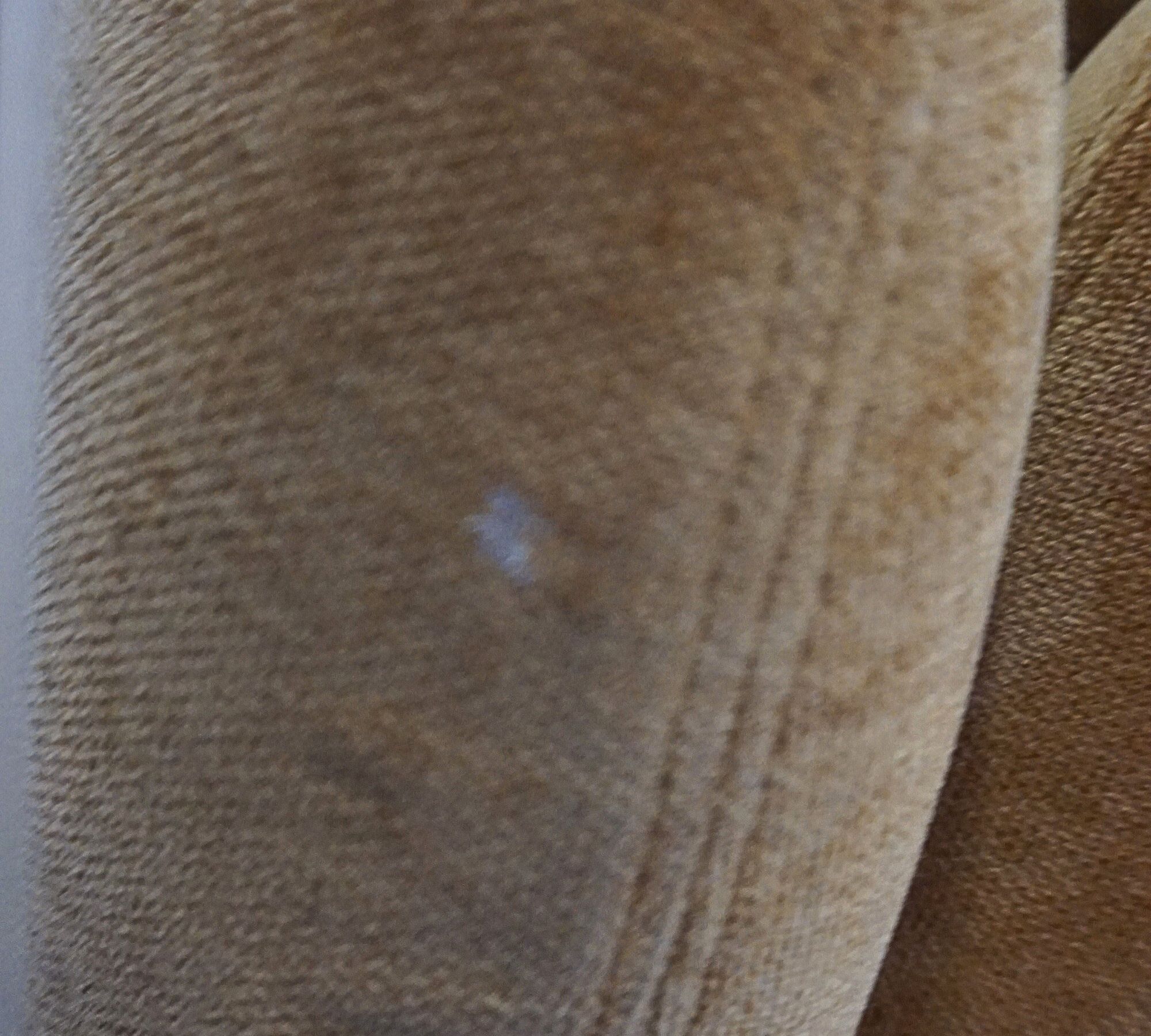 Ellis 1-Sitzer Modul abnehmbare Armlehne Danny Amber