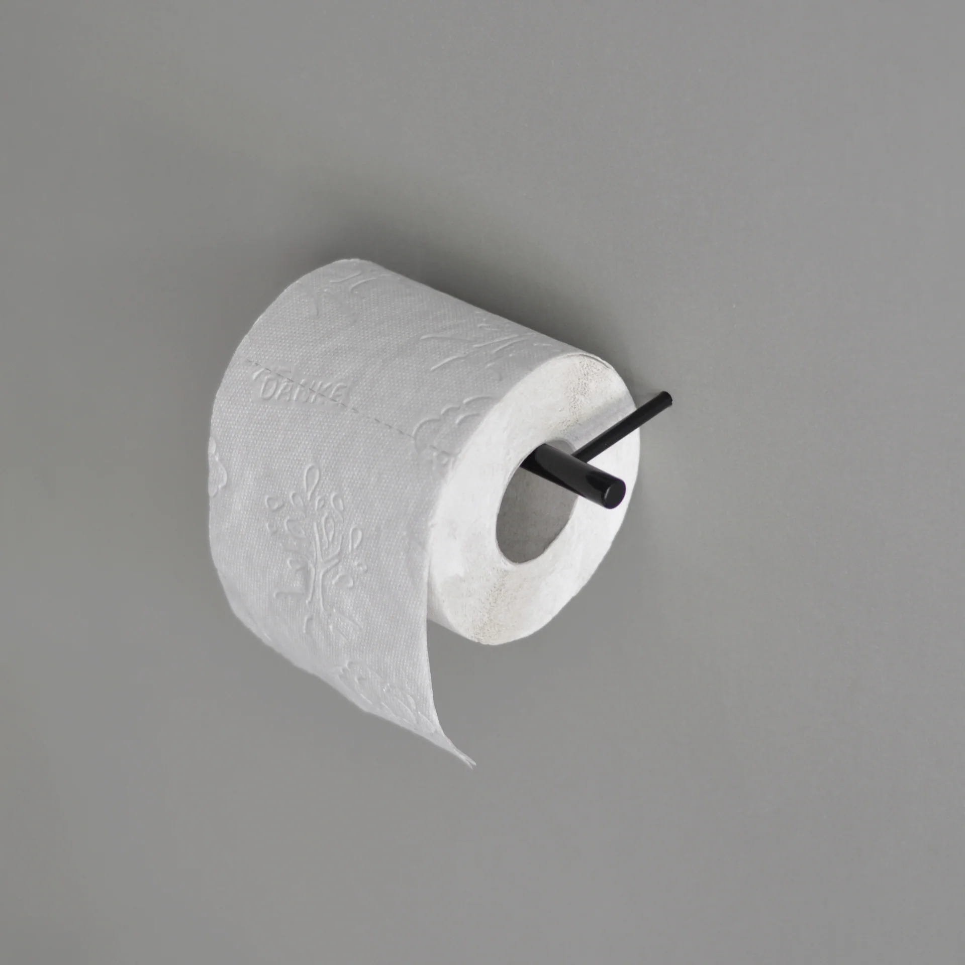 Toilettenpapierhalter Stahl Pulverbeschichtet Schwarz Matt 