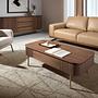 Couchtisch 2108 Braun Gold 2