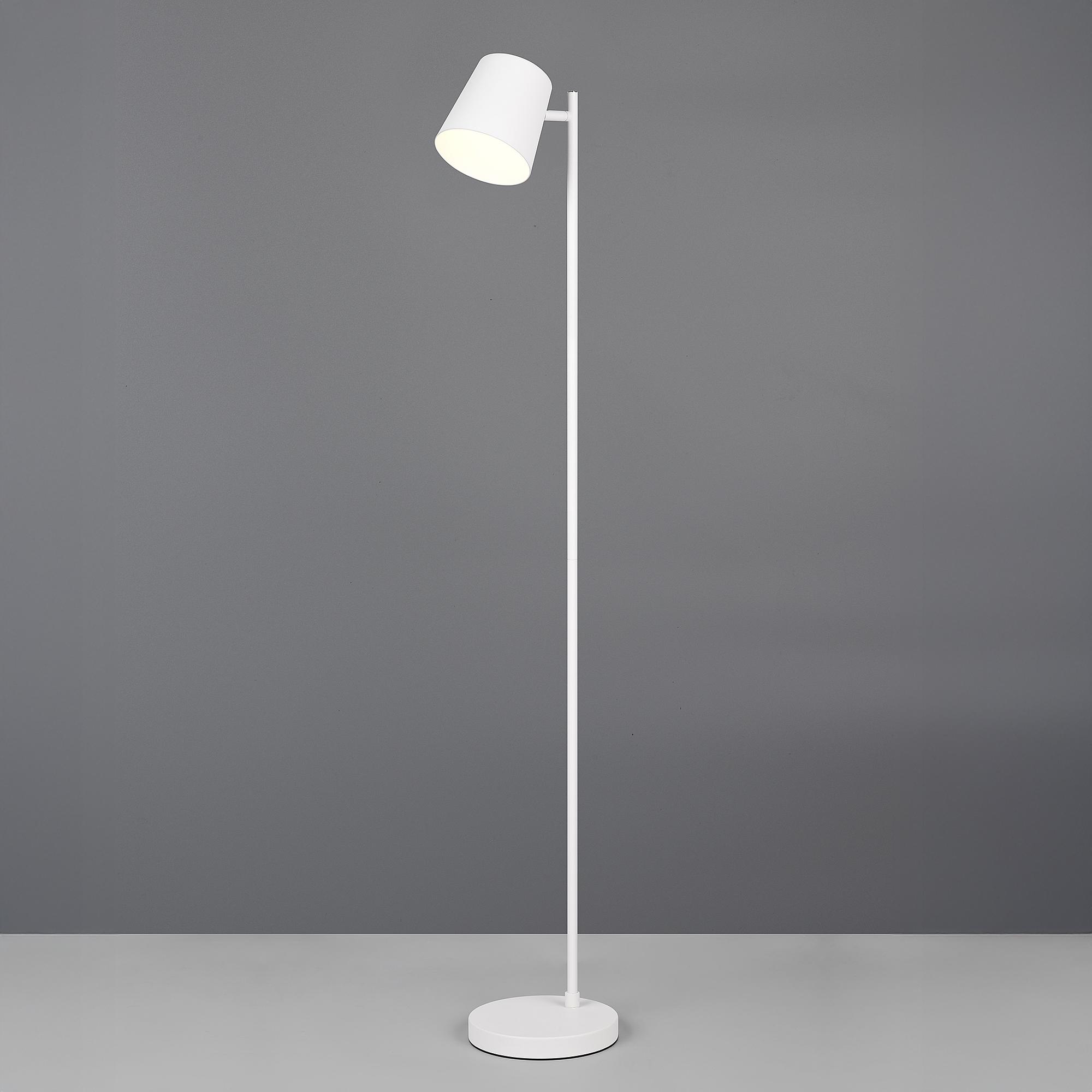 Blake LED floor lamp 1-light iron white 1