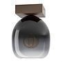 1-Flammig Filago Type B Ceiling Light Steel Clear Glass 0