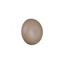 1-Flammig Davey LED-Wandleuchte Eisen Beige 2