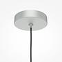 Pro Focus Lampada a sospensione argento 2