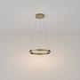 Rim Pendant light Aluminium Gold Ø40sm 1