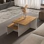 Twins Coffee table Brown White 3