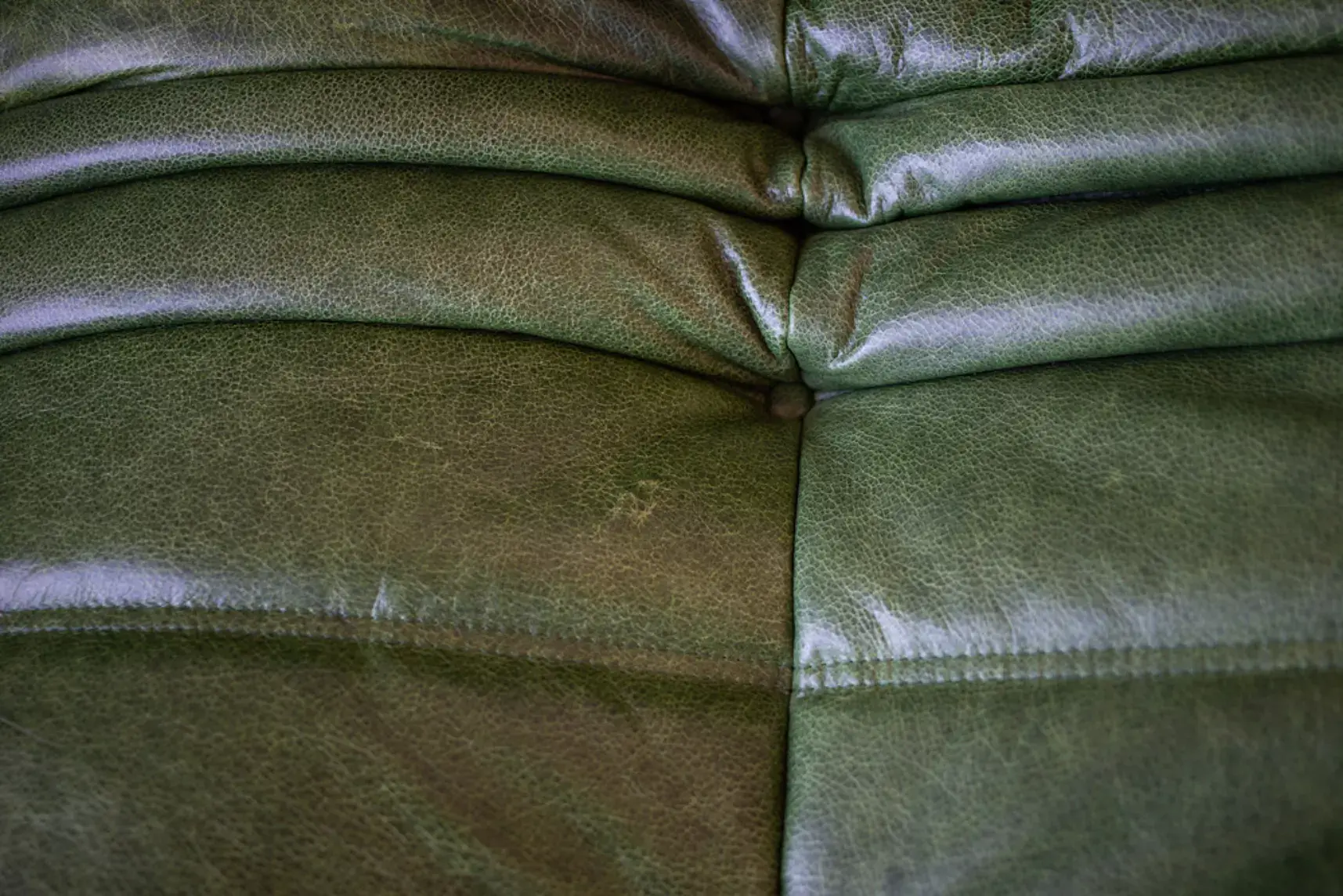 Togo Sofa 2-Sitzer+Ecksofa+Sessel+Ottoman Pull-Up-Leder Grün 5
